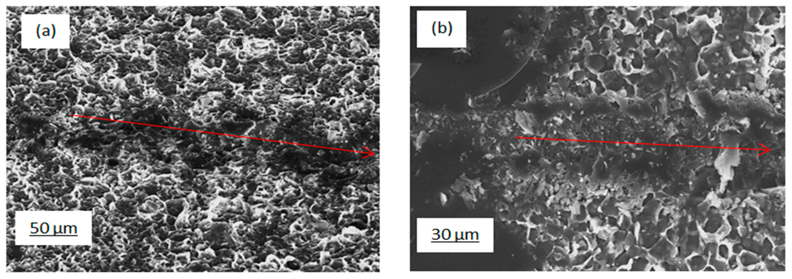 Nanomaterials 10 00601 g009