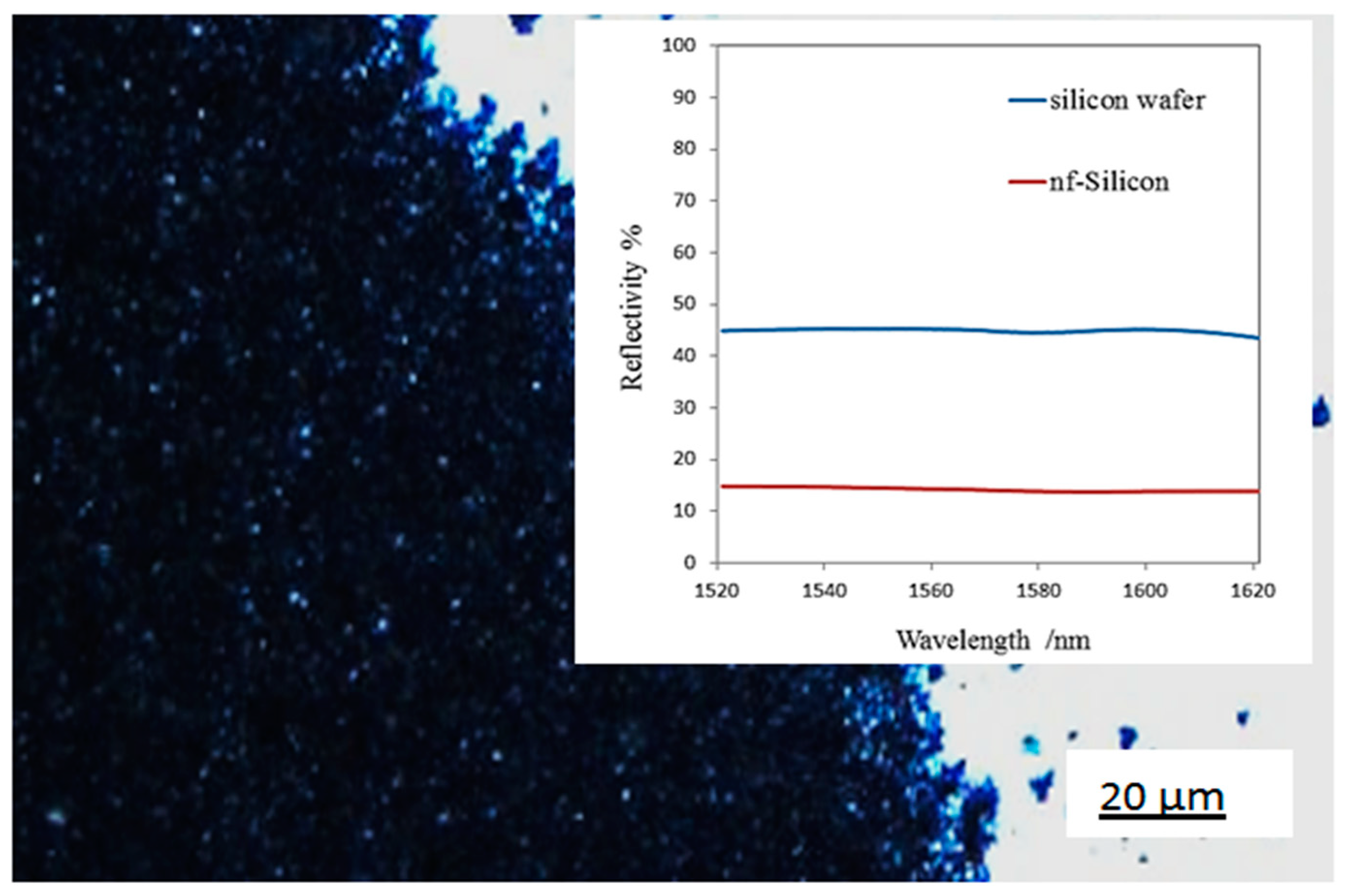 Nanomaterials 10 00601 g011