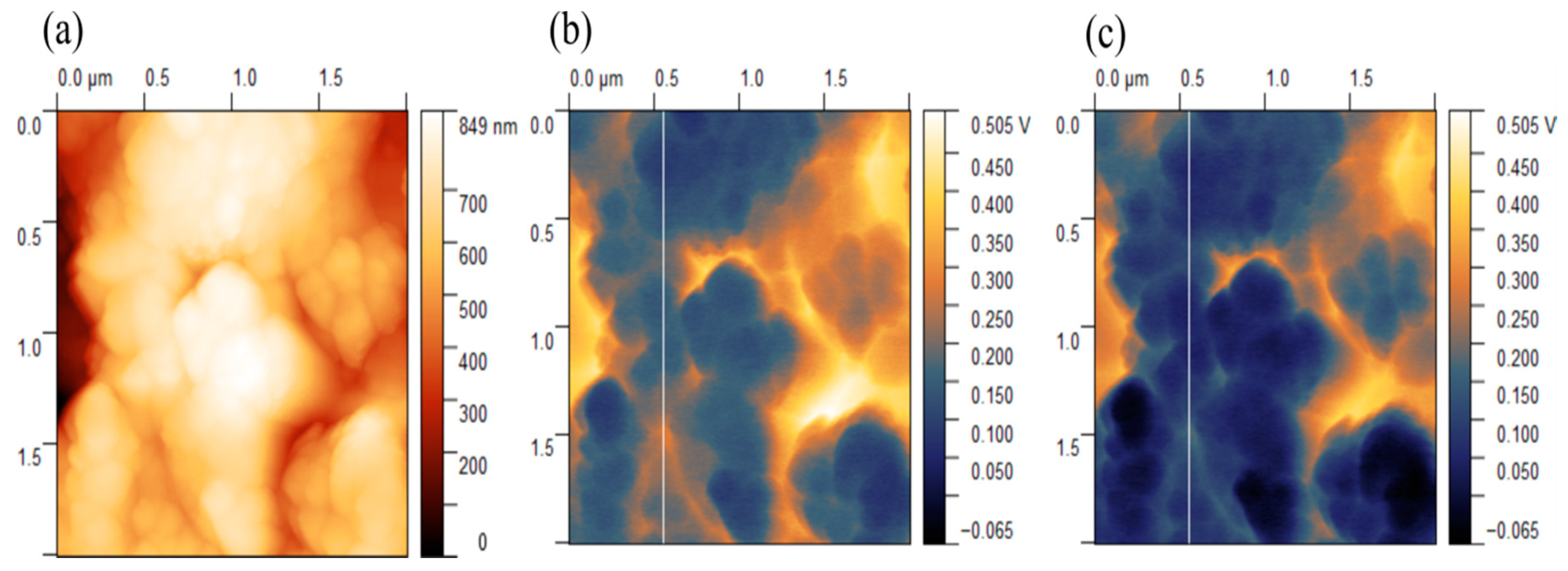 Nanomaterials 10 00601 g012