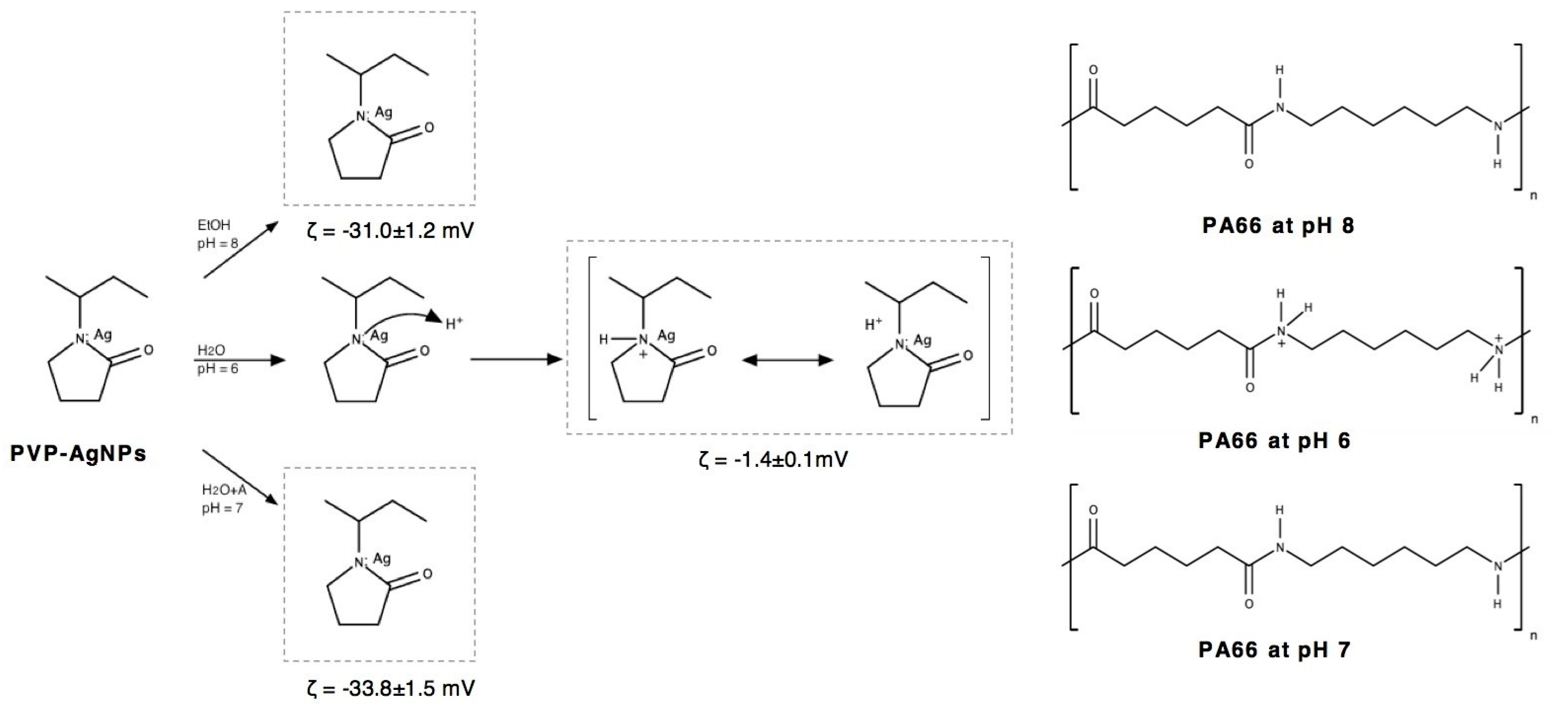 Nanomaterials 10 00607 g002