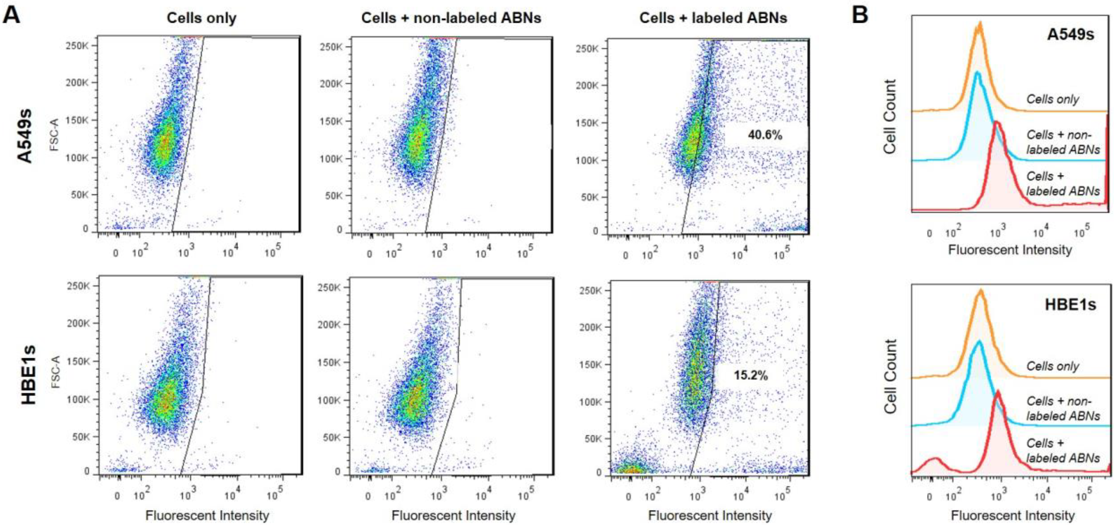 Nanomaterials 10 00612 g002 Nanomaterials 10 00612 g002