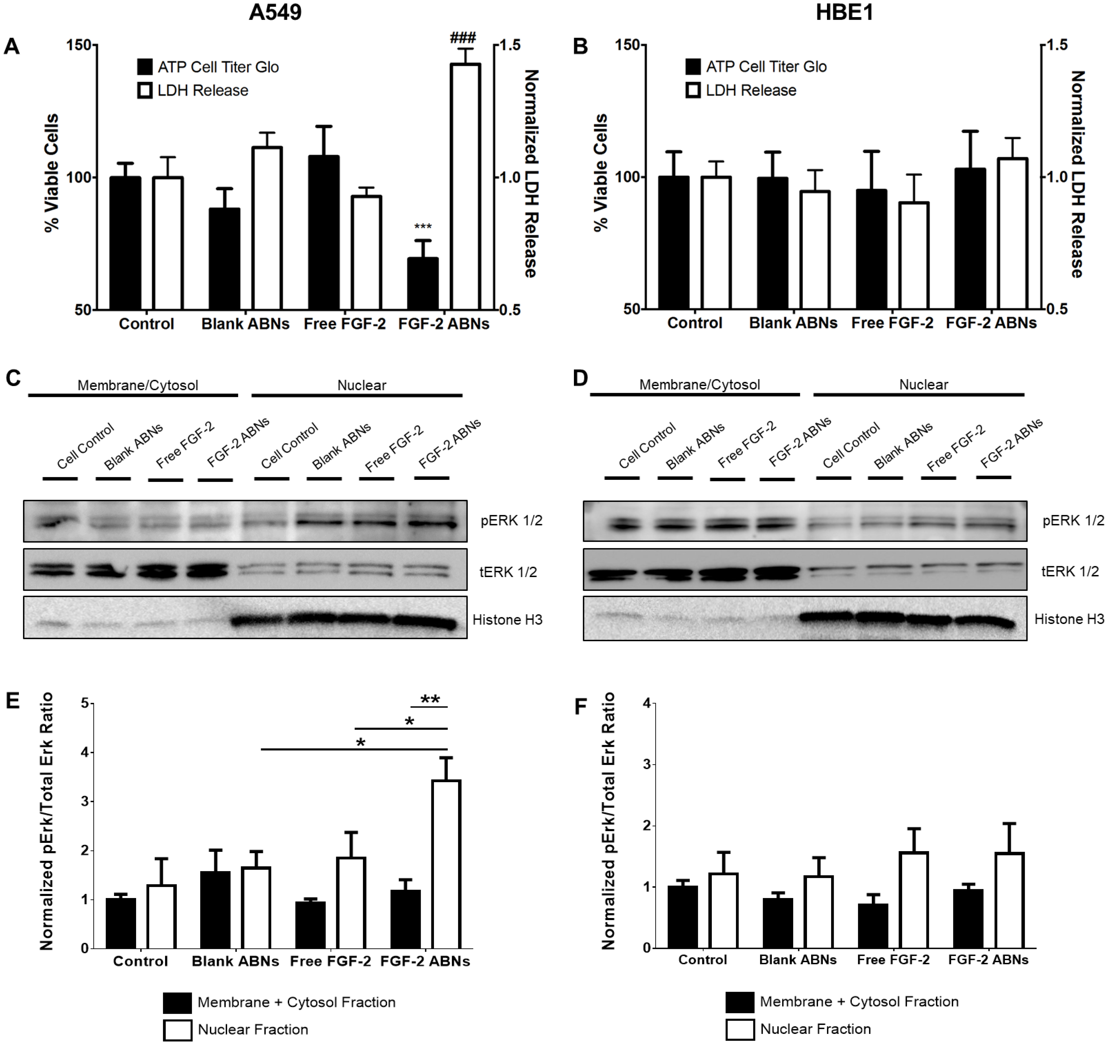 Nanomaterials 10 00612 g006 Nanomaterials 10 00612 g006