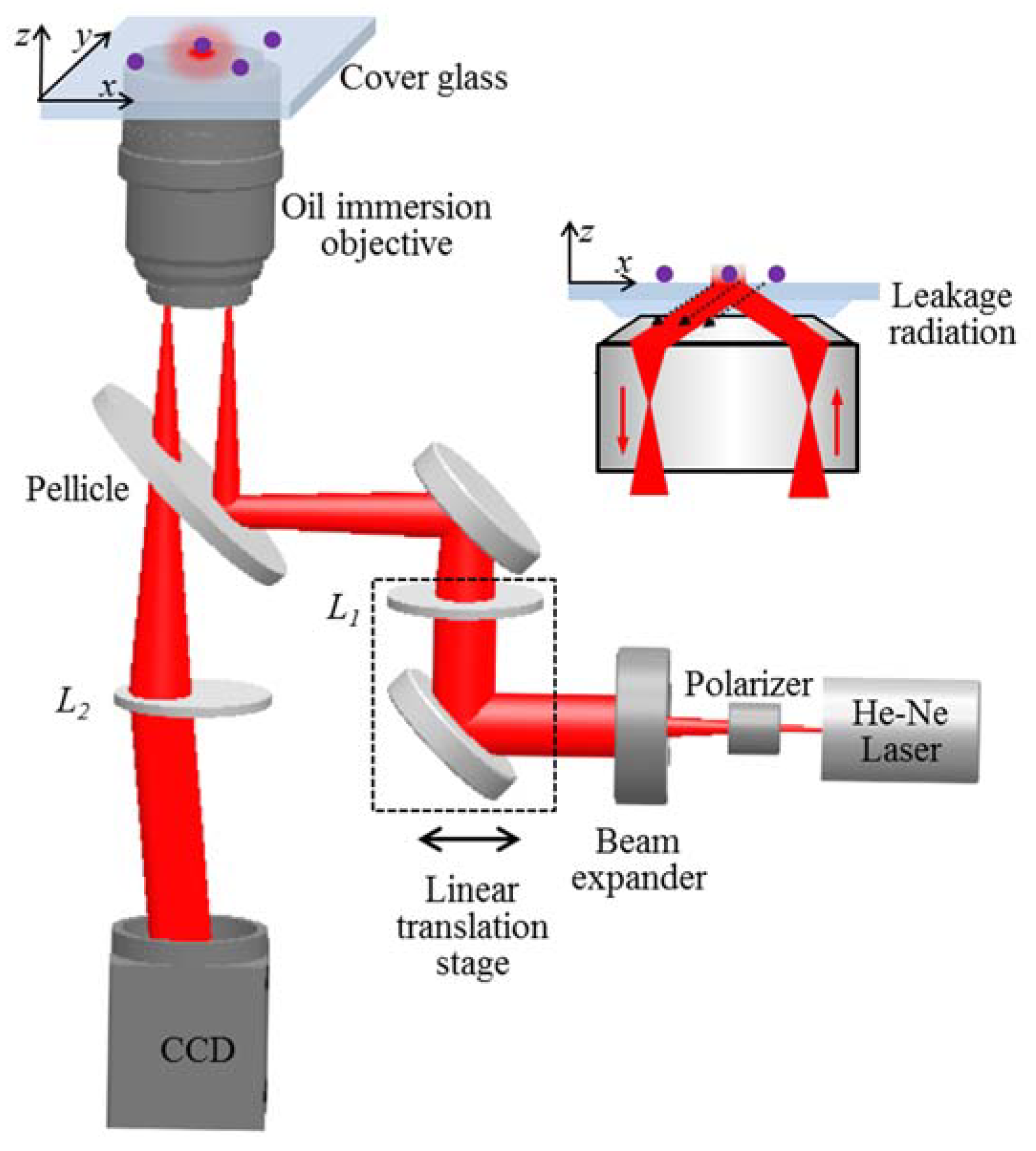 Nanomaterials 10 00615 g002