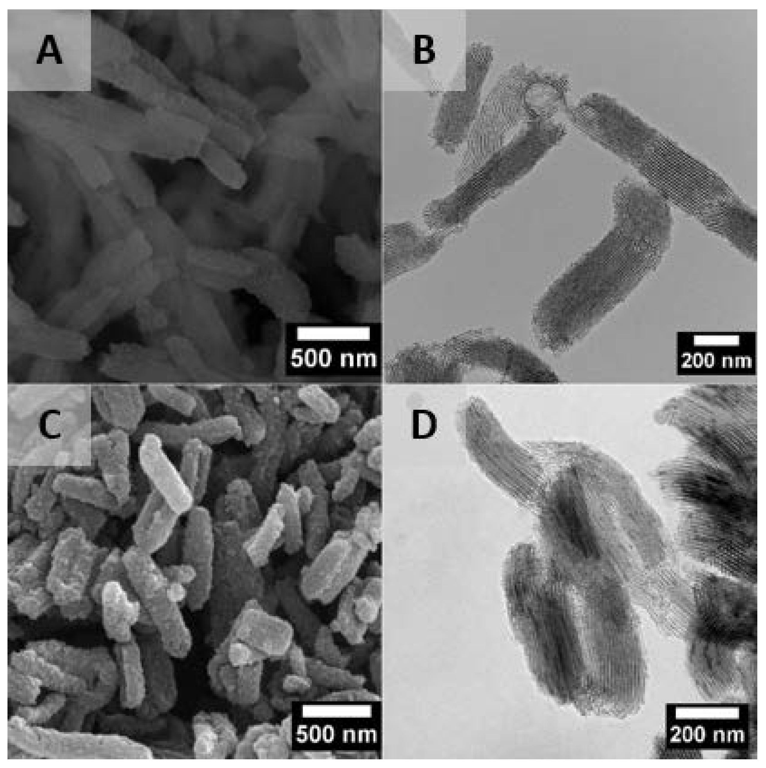 Nanomaterials 10 00616 g001
