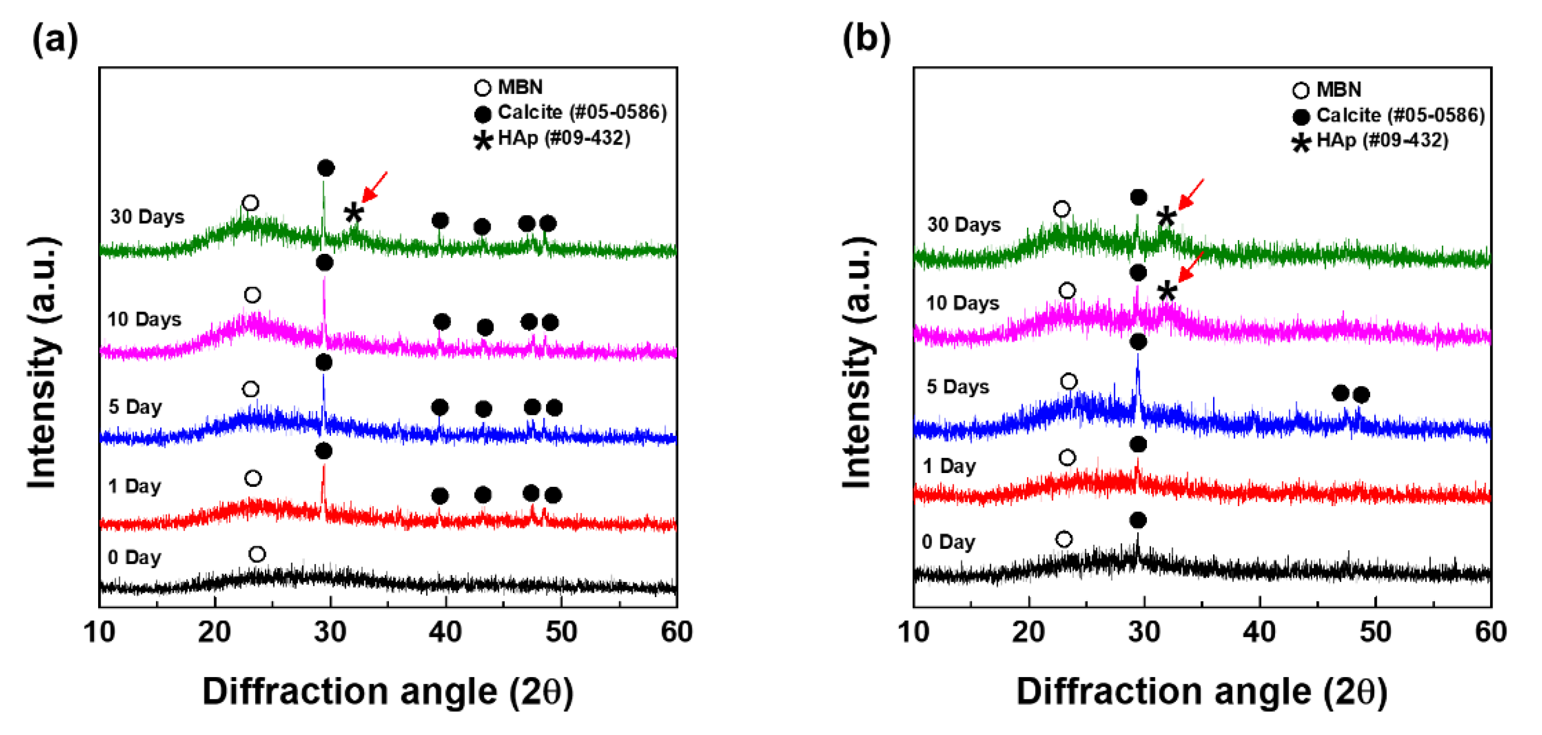 Nanomaterials 10 00621 g006