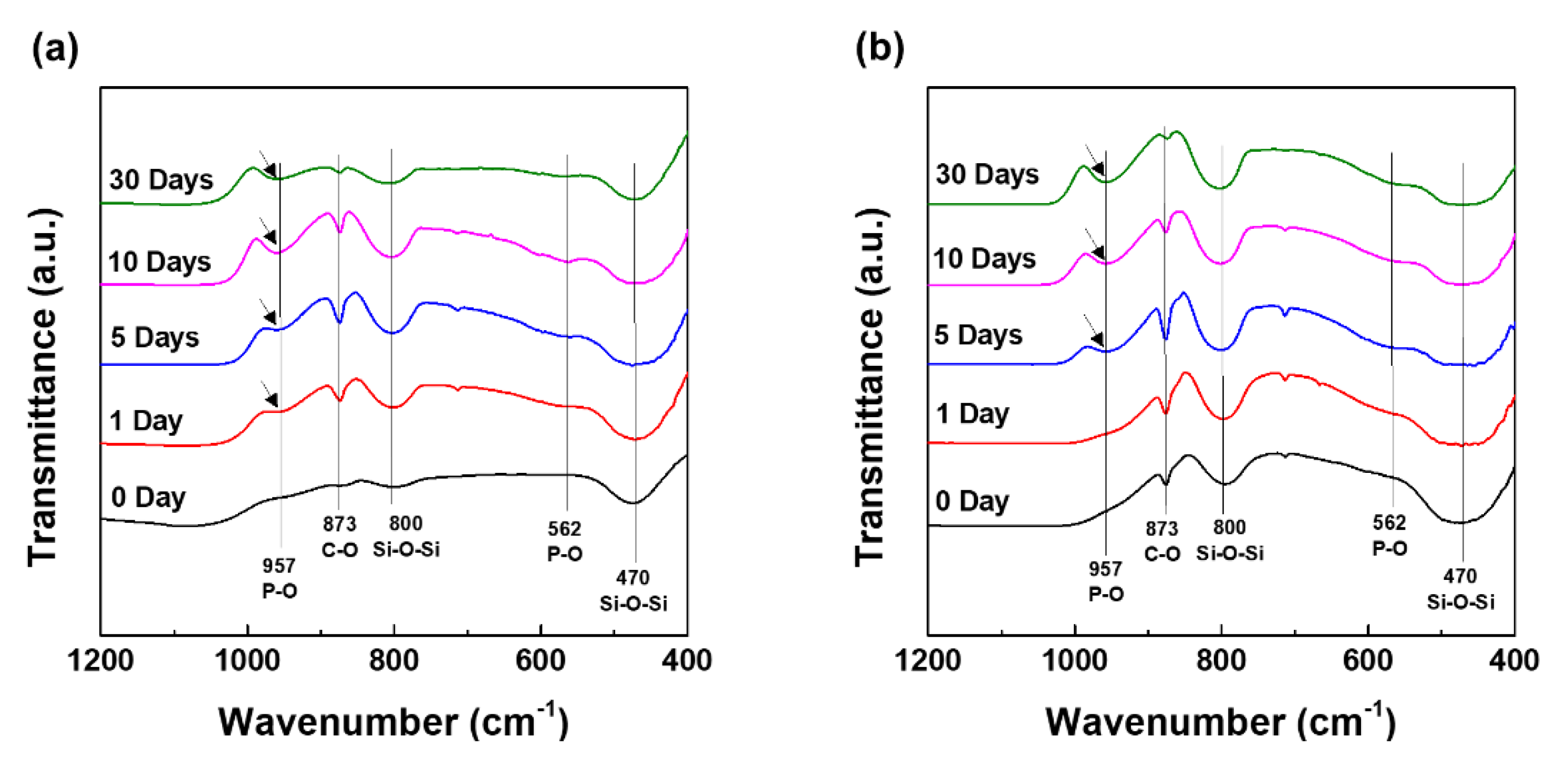 Nanomaterials 10 00621 g007