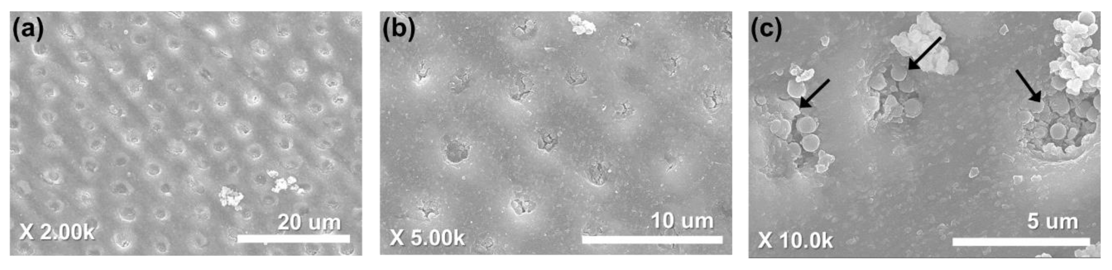 Nanomaterials 10 00621 g011