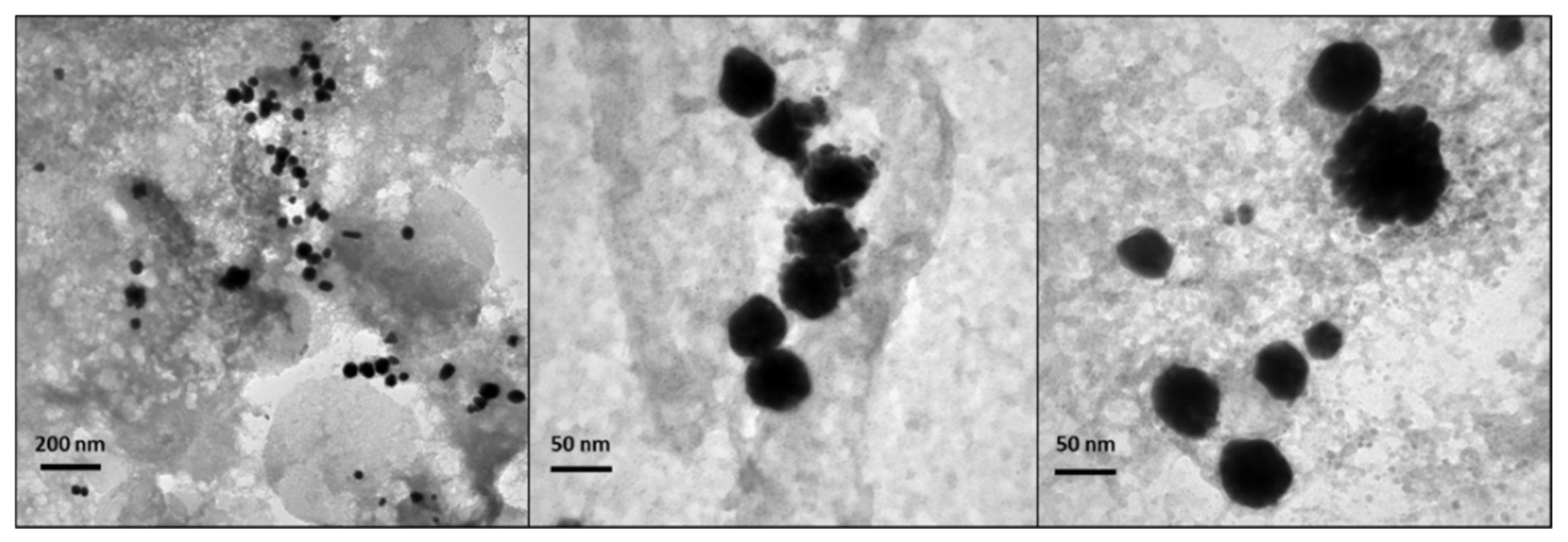 Nanomaterials 10 00622 g009