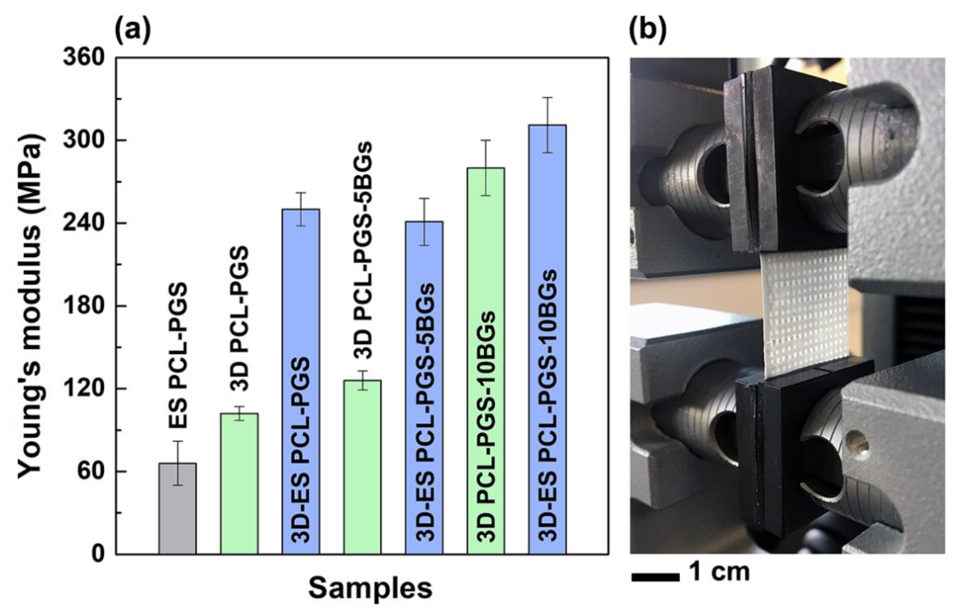 Nanomaterials 10 00626 g004 Nanomaterials 10 00626 g004