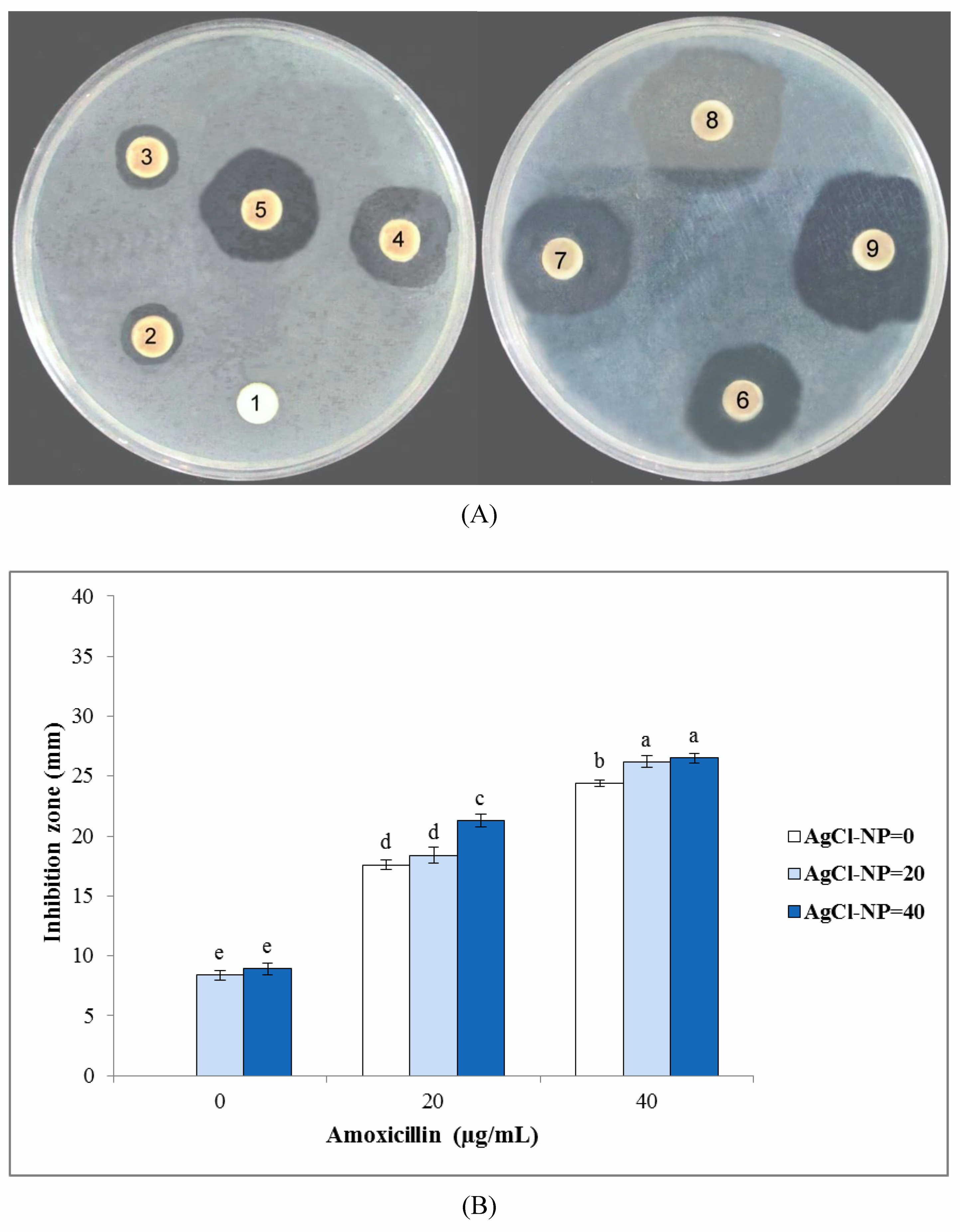 Nanomaterials 10 00638 g004 Nanomaterials 10 00638 g004