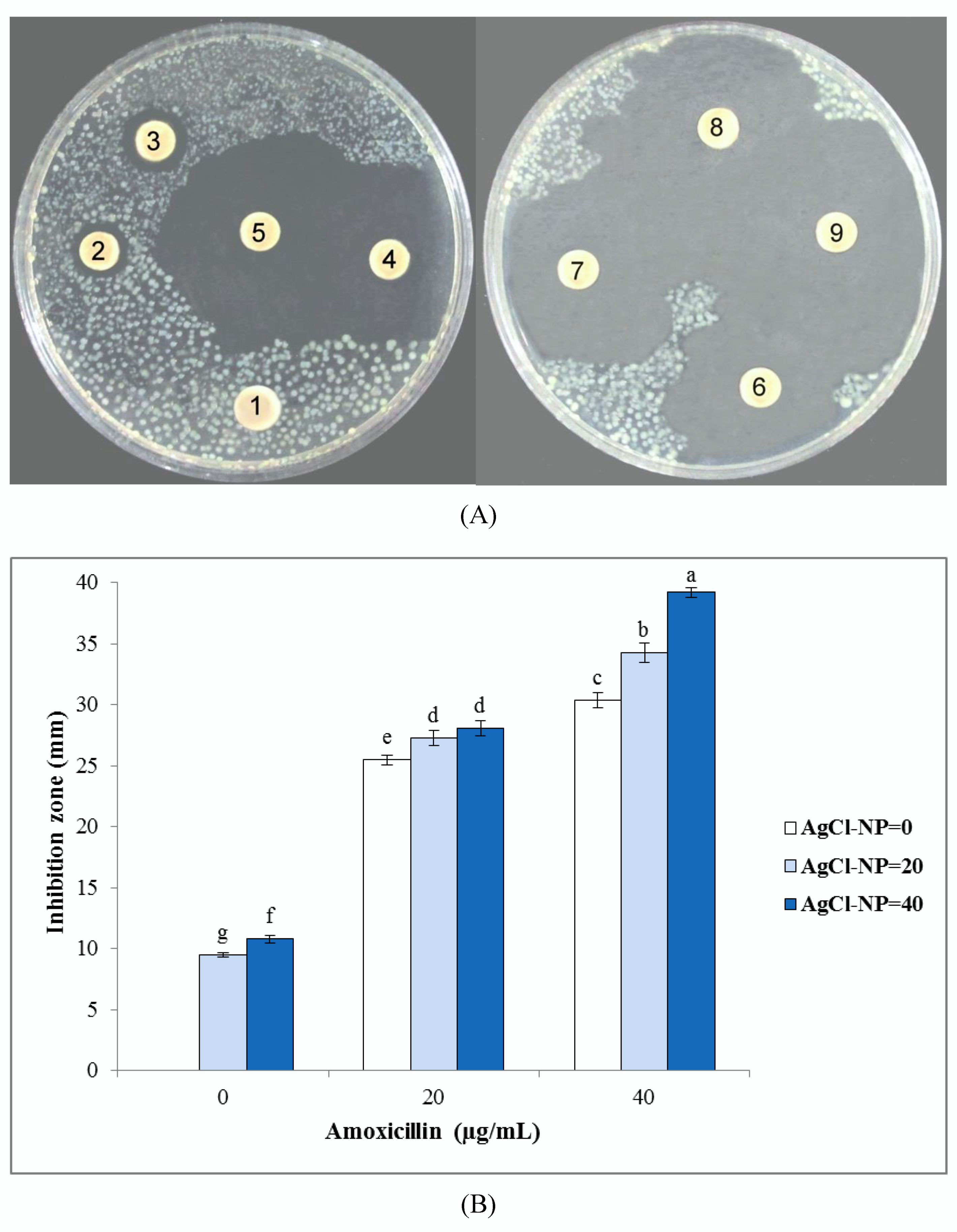 Nanomaterials 10 00638 g005 Nanomaterials 10 00638 g005
