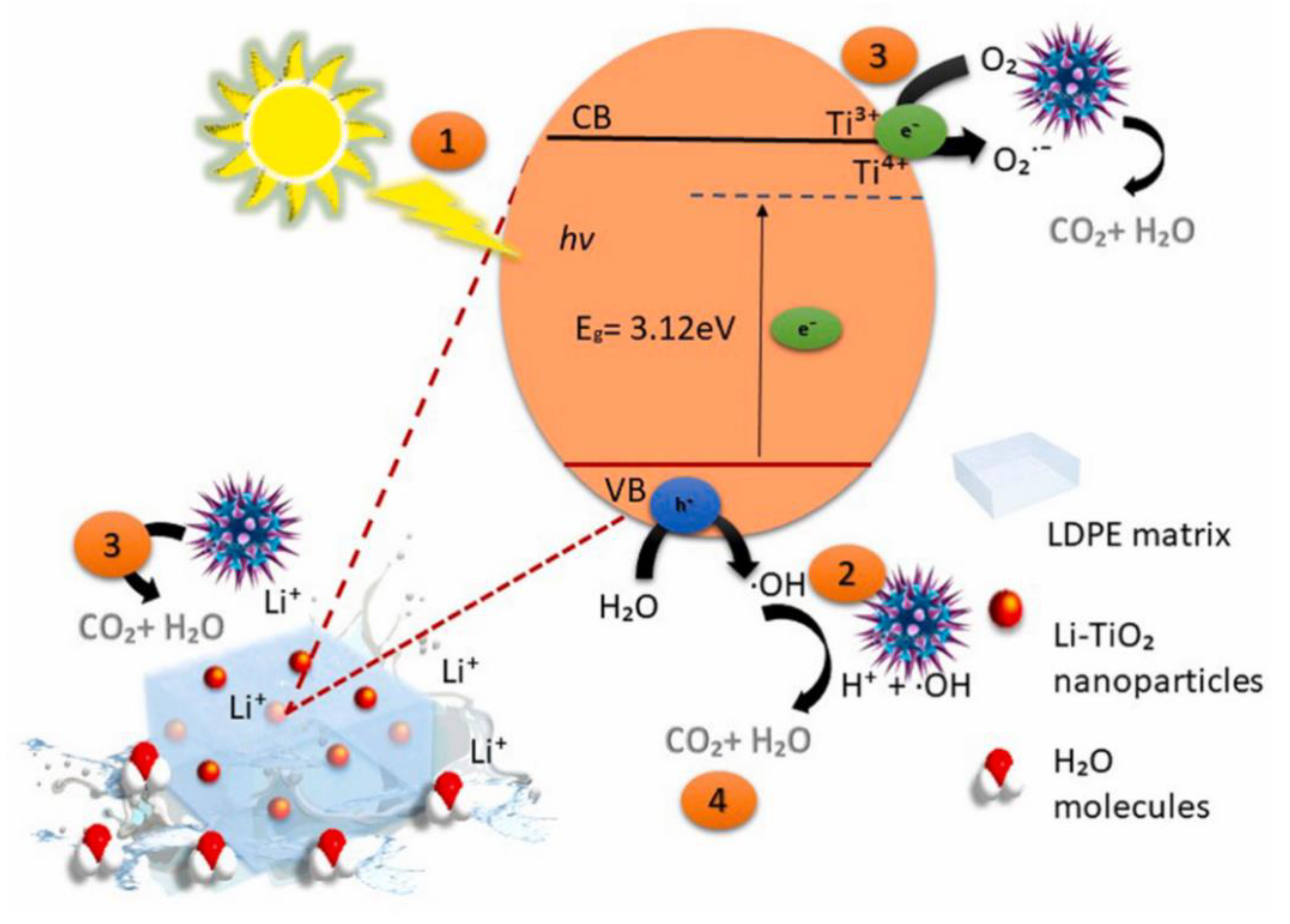 Nanomaterials 10 00643 g005