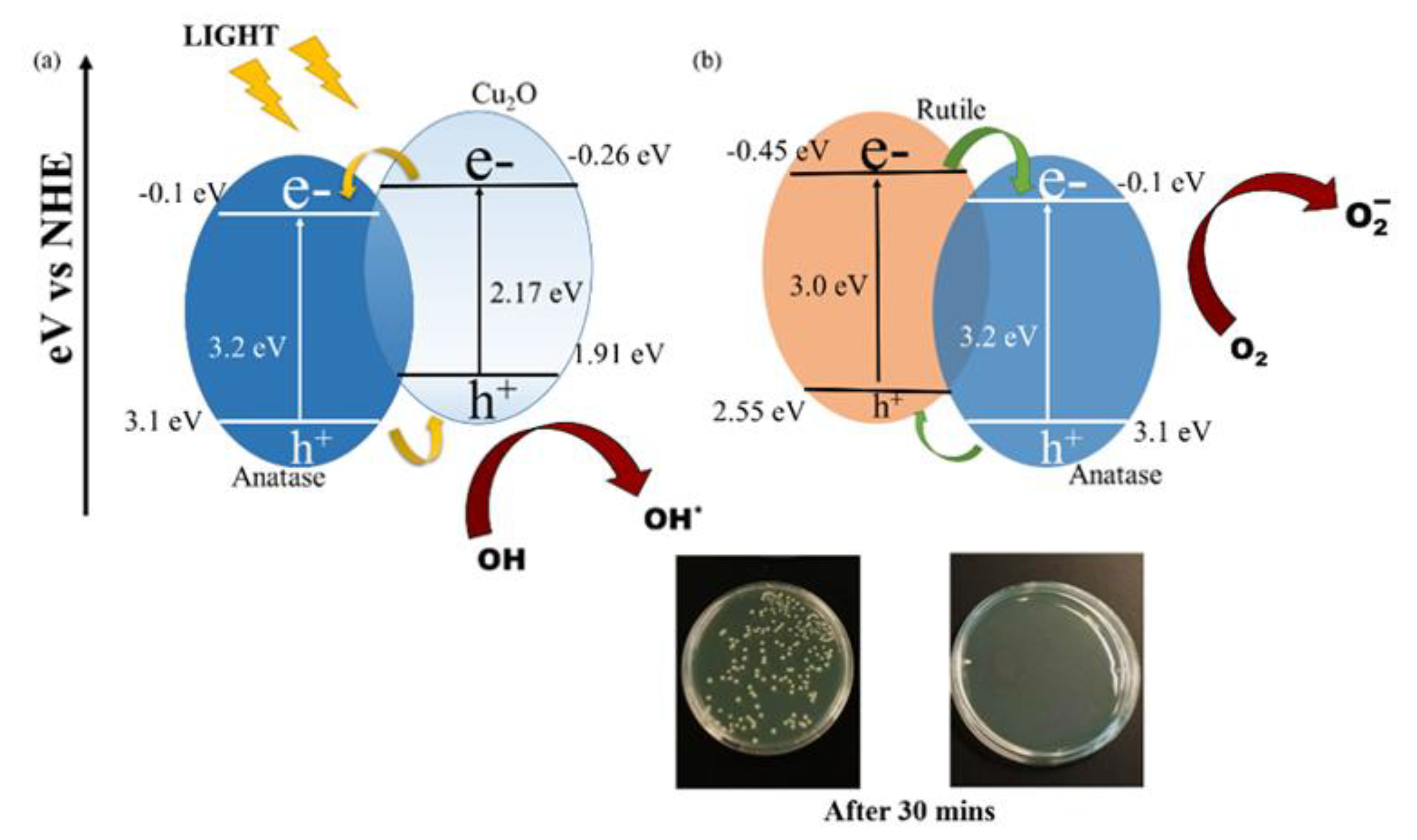 Nanomaterials 10 00643 g006