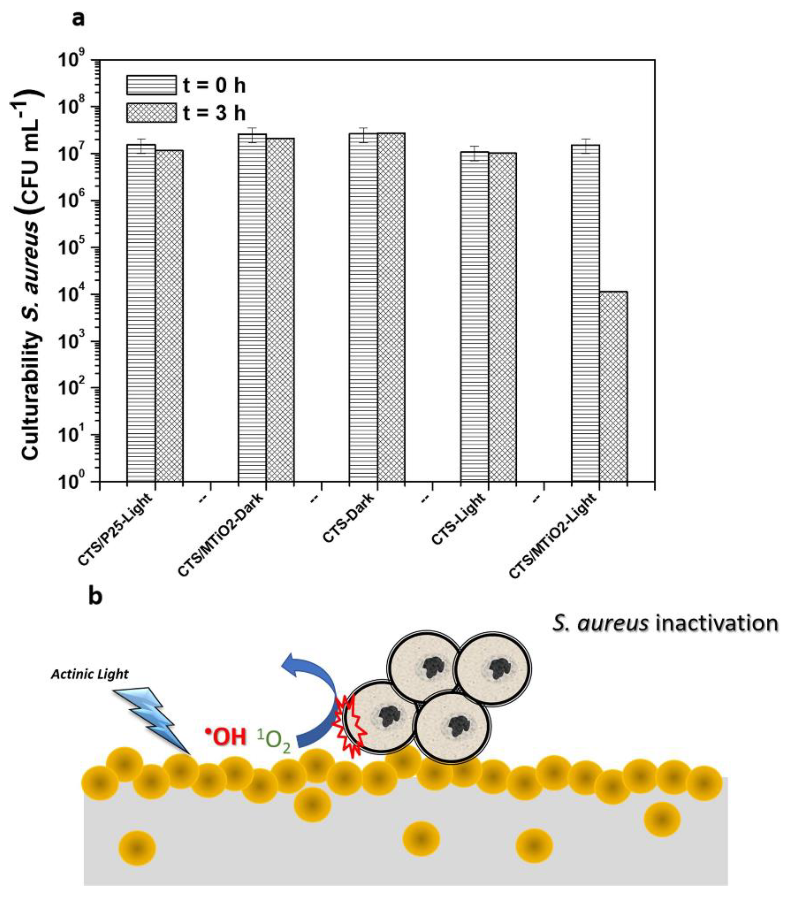 Nanomaterials 10 00643 g009
