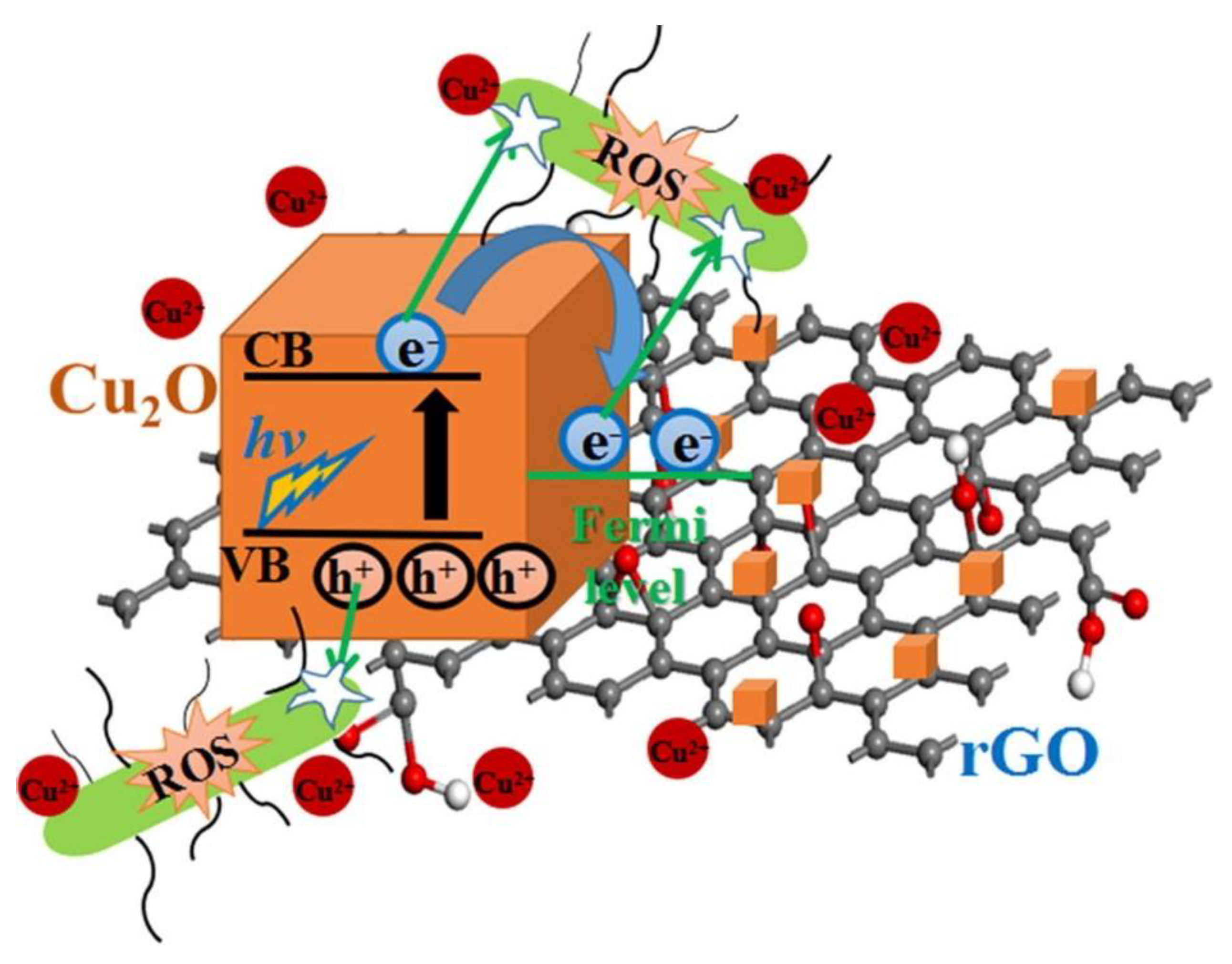 Nanomaterials 10 00643 g011