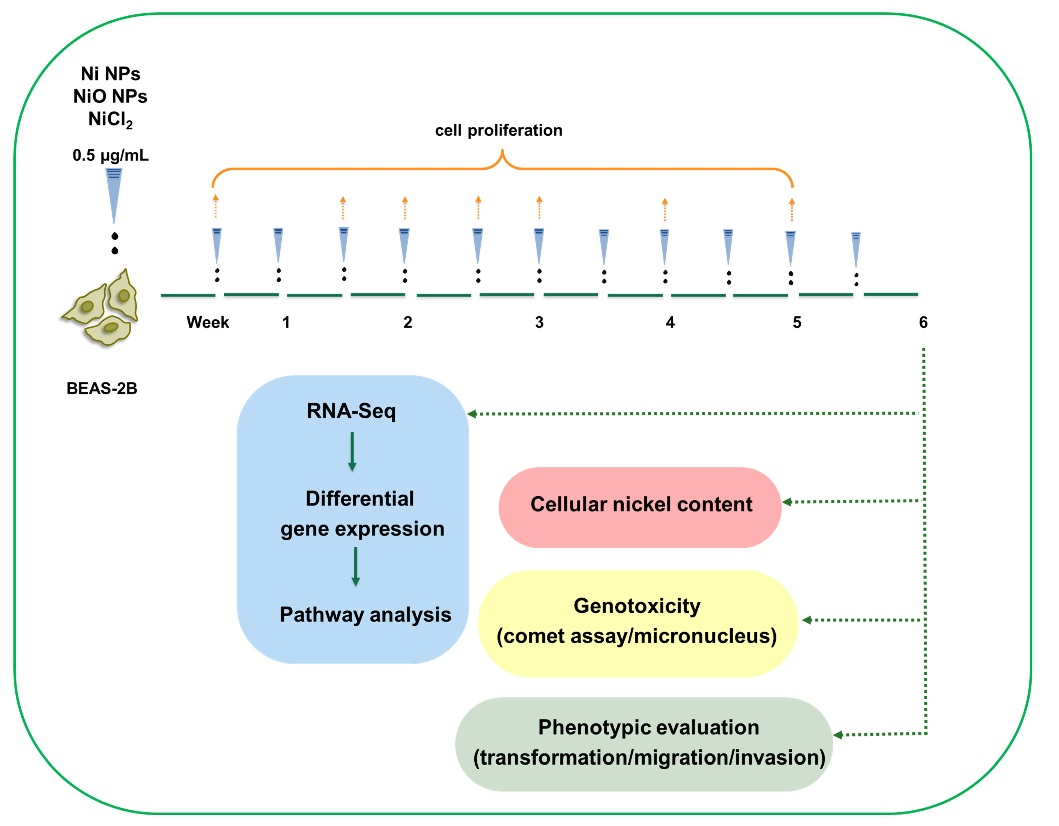 Nanomaterials 10 00649 g001 Nanomaterials 10 00649 g001