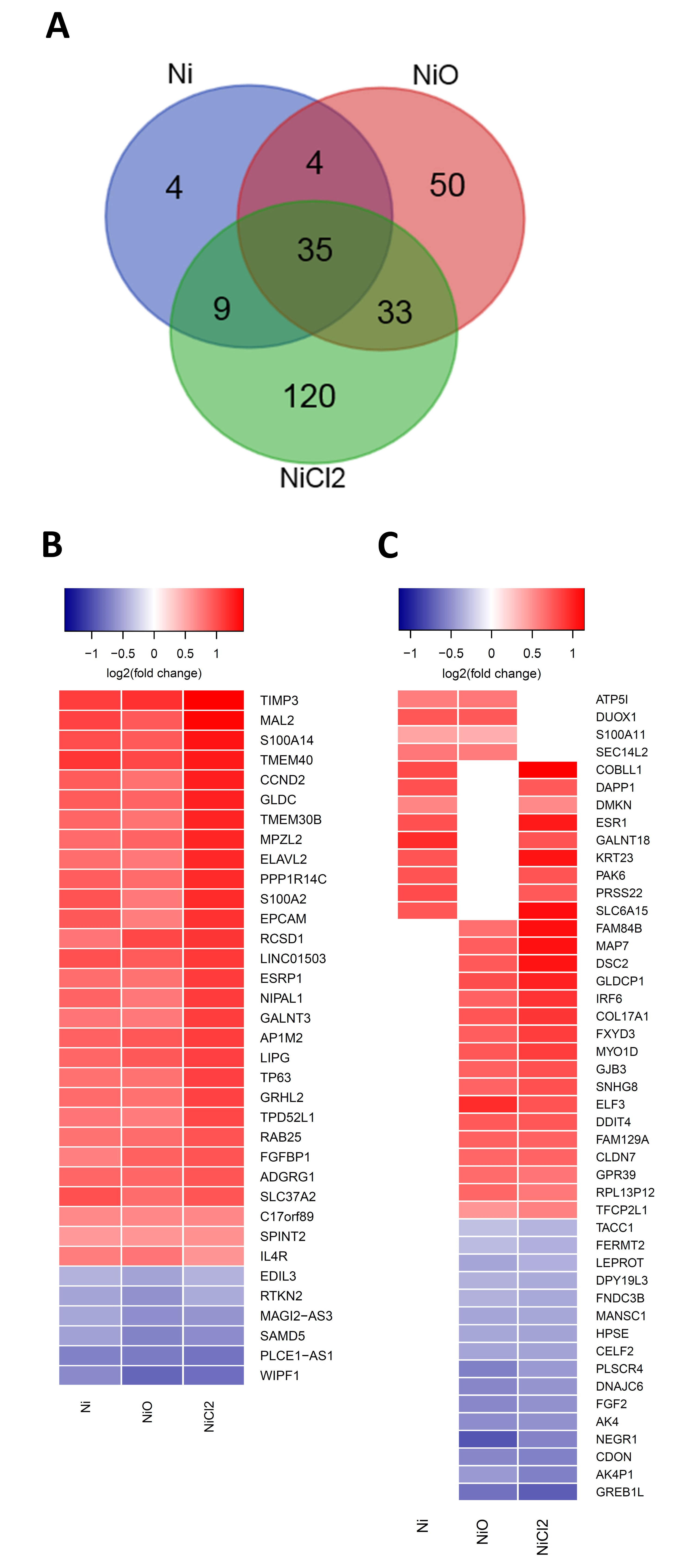 Nanomaterials 10 00649 g004 Nanomaterials 10 00649 g004