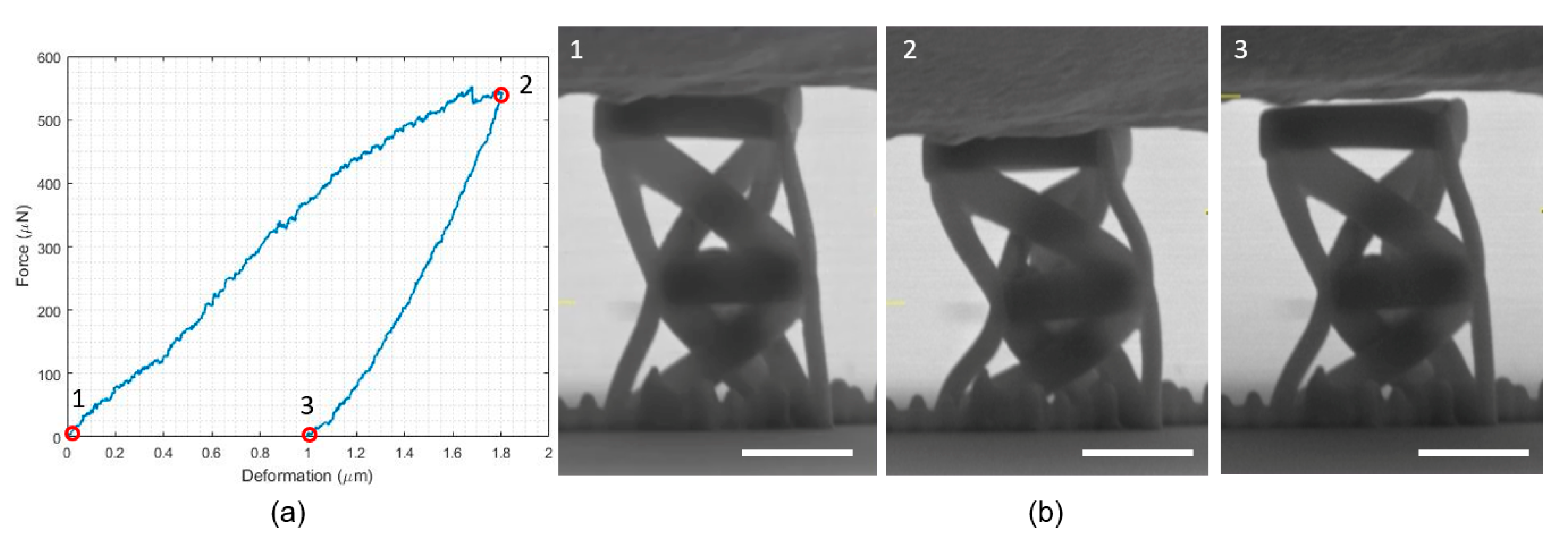Nanomaterials 10 00652 g006