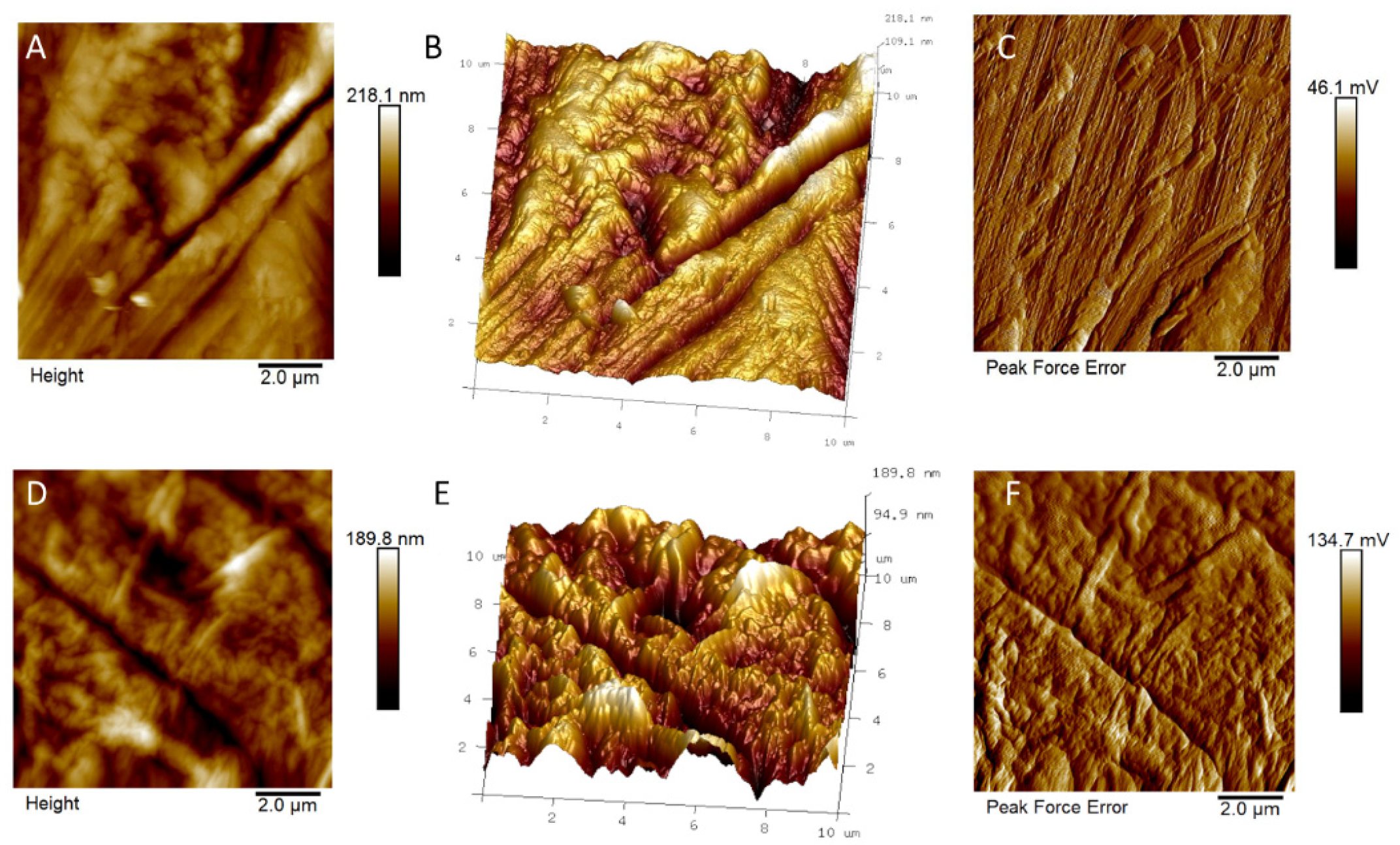 Nanomaterials 10 00654 g002 Nanomaterials 10 00654 g002