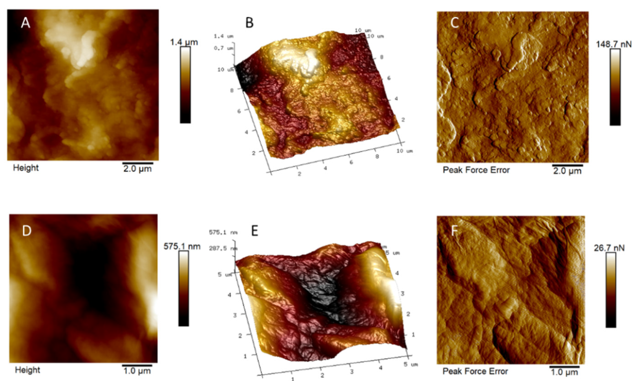 Nanomaterials 10 00654 g003 Nanomaterials 10 00654 g003