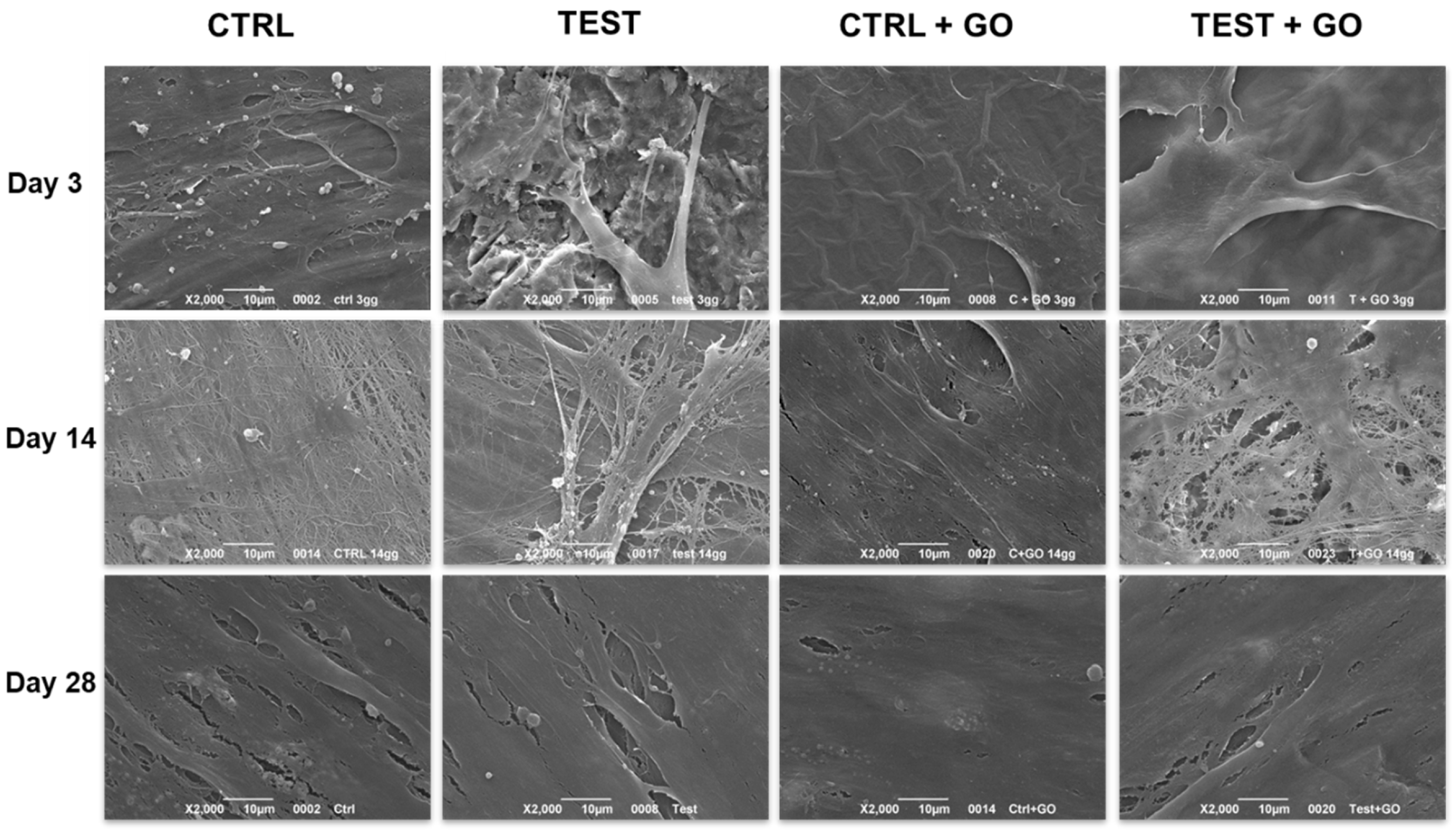Nanomaterials 10 00654 g005 Nanomaterials 10 00654 g005