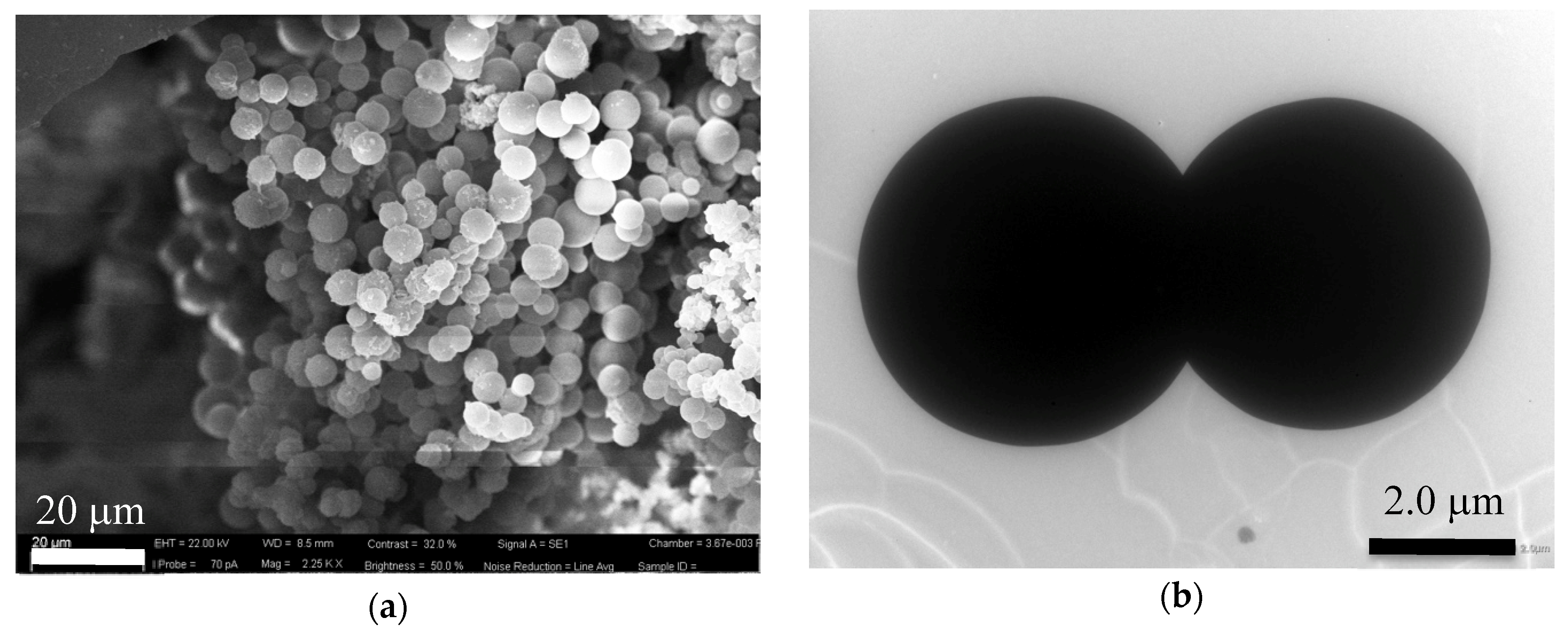 Nanomaterials 10 00655 g001 Nanomaterials 10 00655 g001