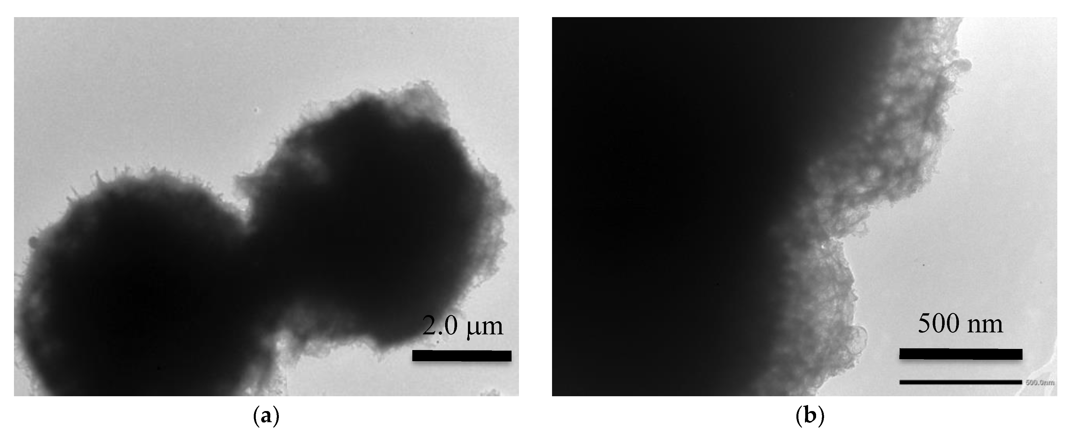 Nanomaterials 10 00655 g006 Nanomaterials 10 00655 g006
