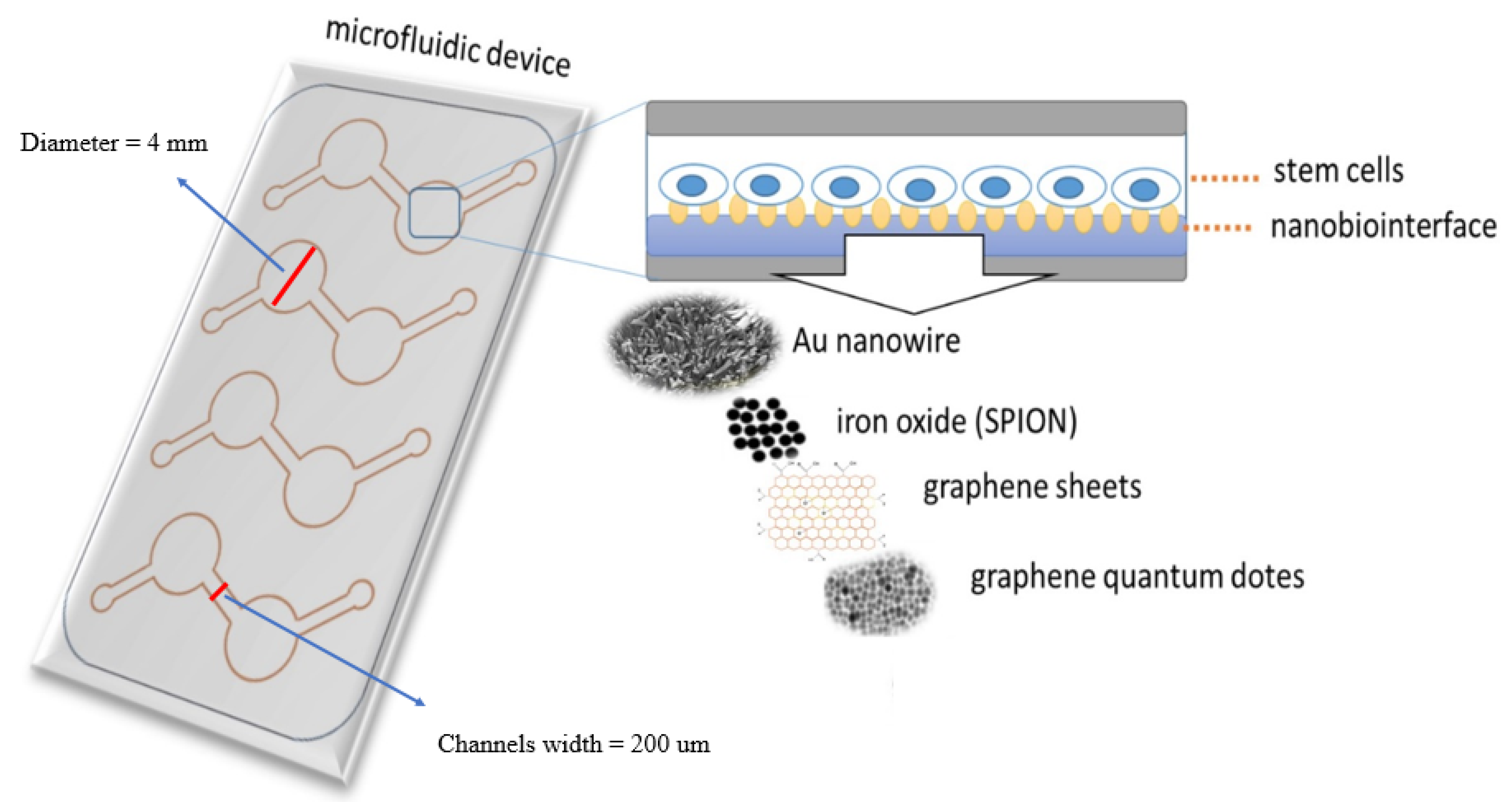 Nanomaterials 10 00668 g001 Nanomaterials 10 00668 g001