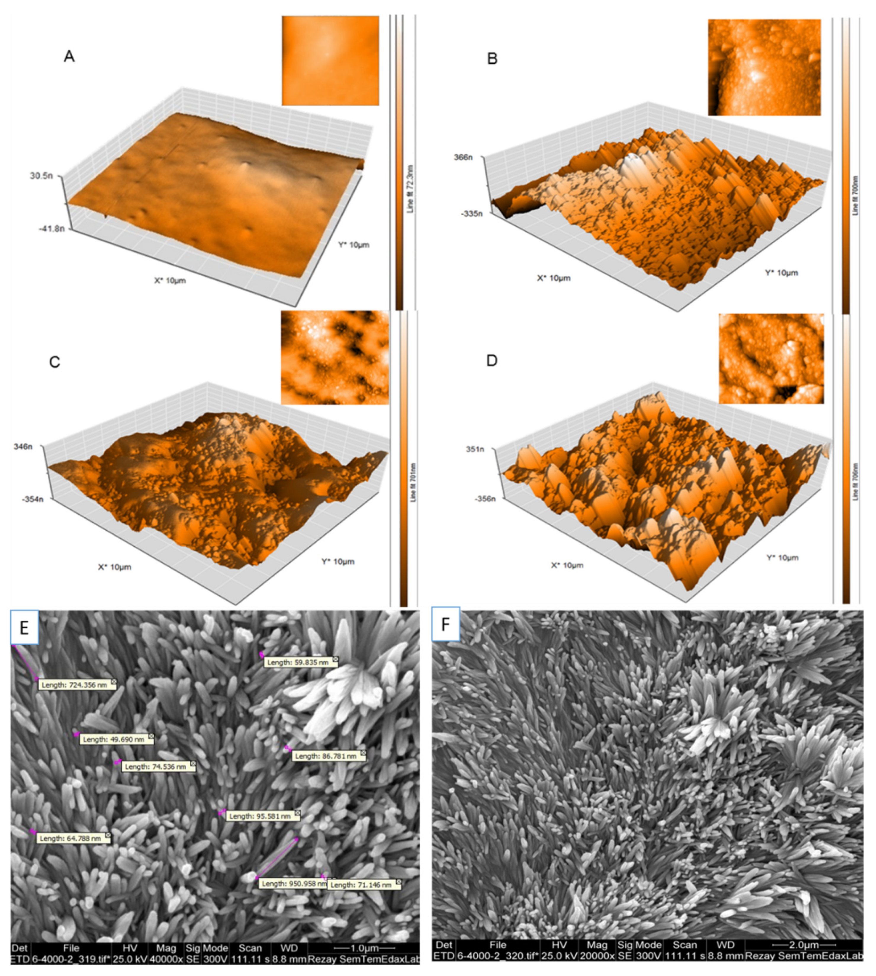 Nanomaterials 10 00668 g002 Nanomaterials 10 00668 g002
