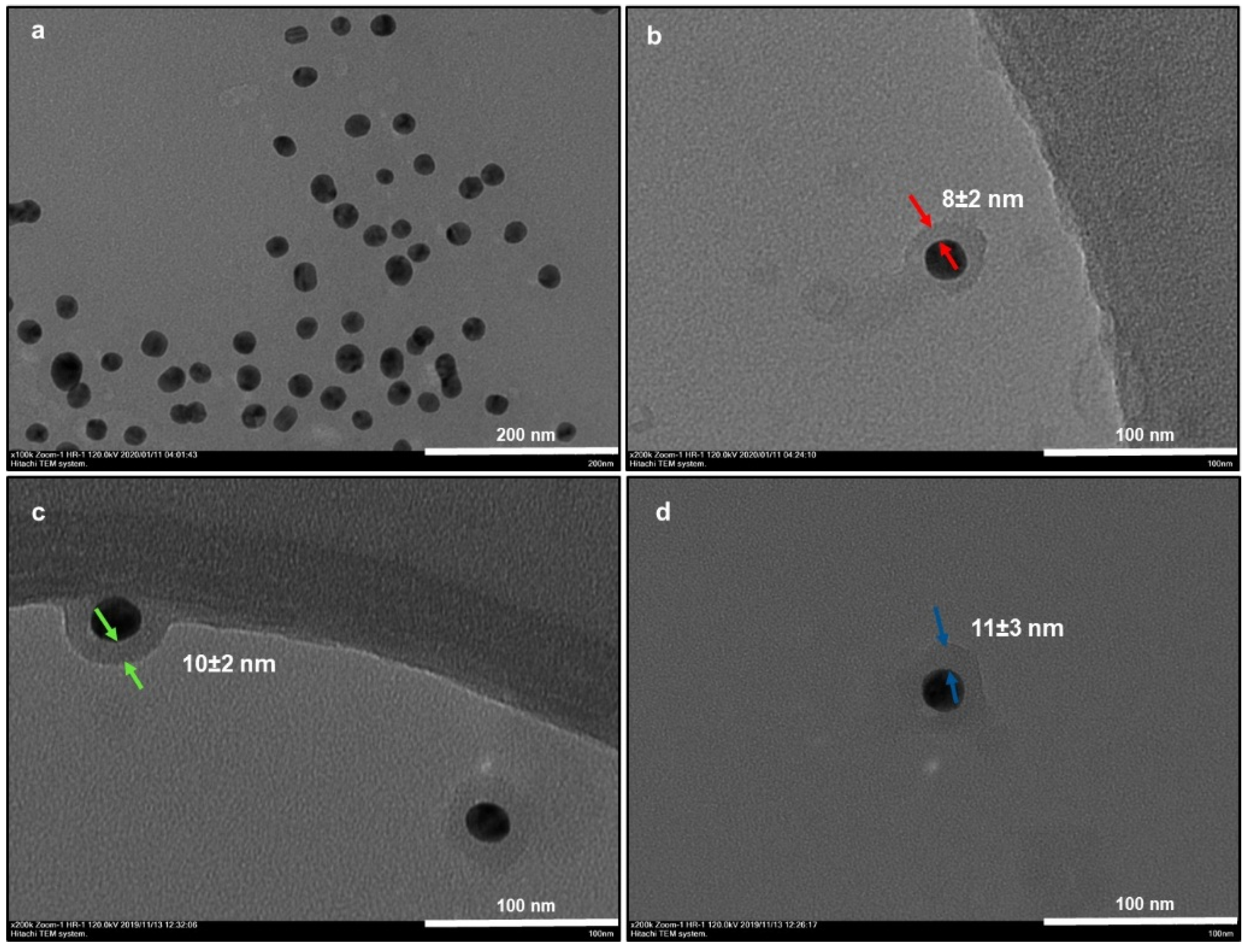 Nanomaterials 10 00688 g001 Nanomaterials 10 00688 g001