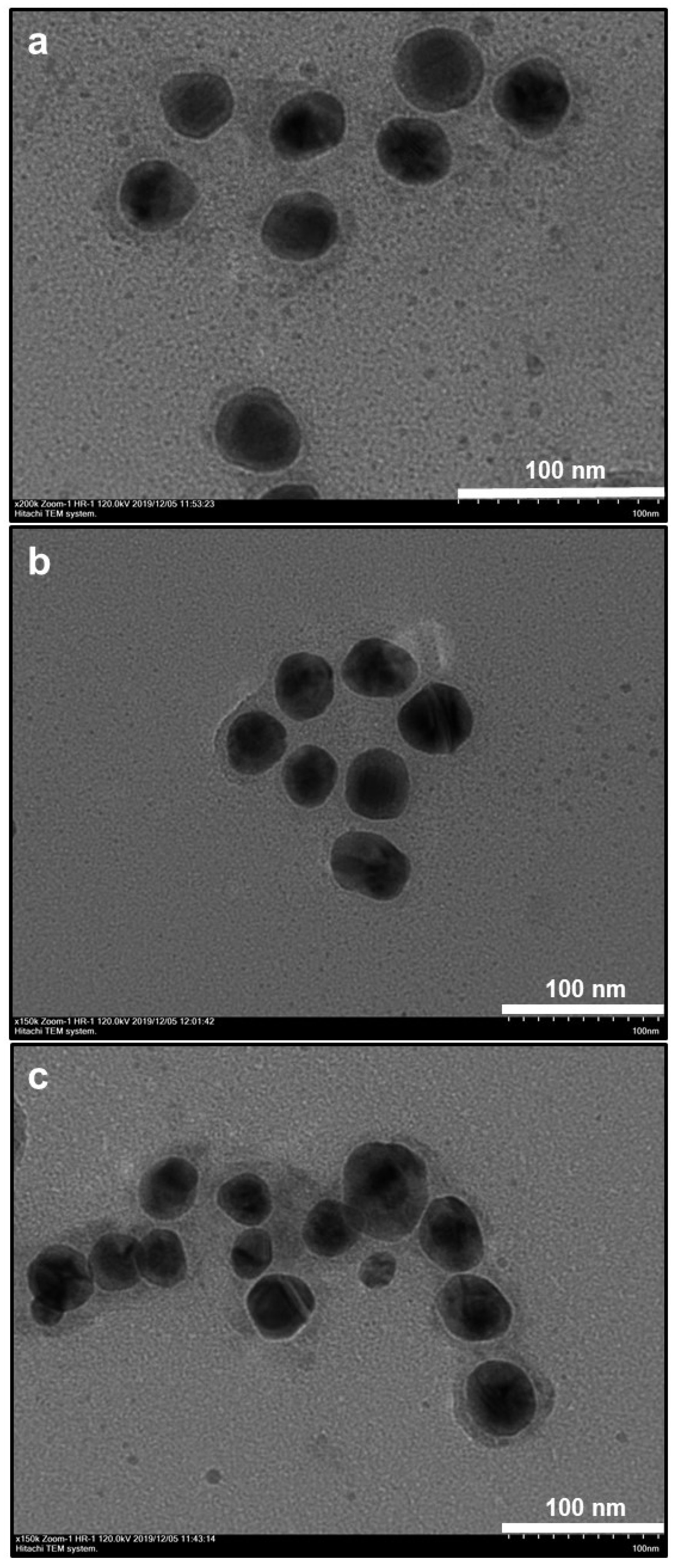Nanomaterials 10 00688 g003 Nanomaterials 10 00688 g003