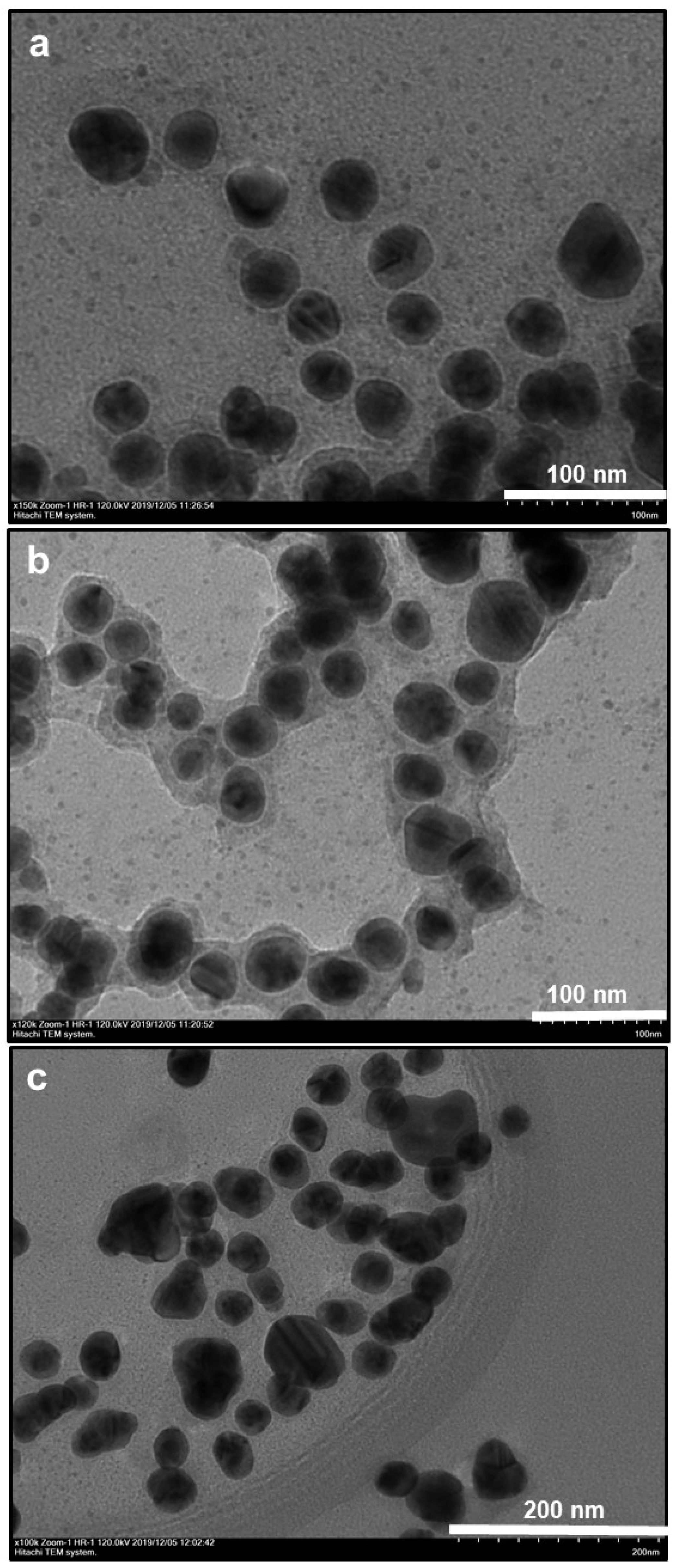 Nanomaterials 10 00688 g005 Nanomaterials 10 00688 g005