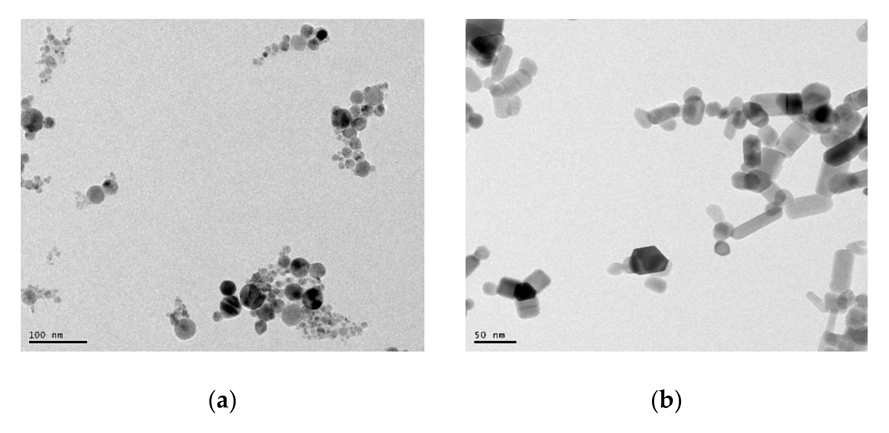 Nanomaterials 10 00692 g001 Nanomaterials 10 00692 g001