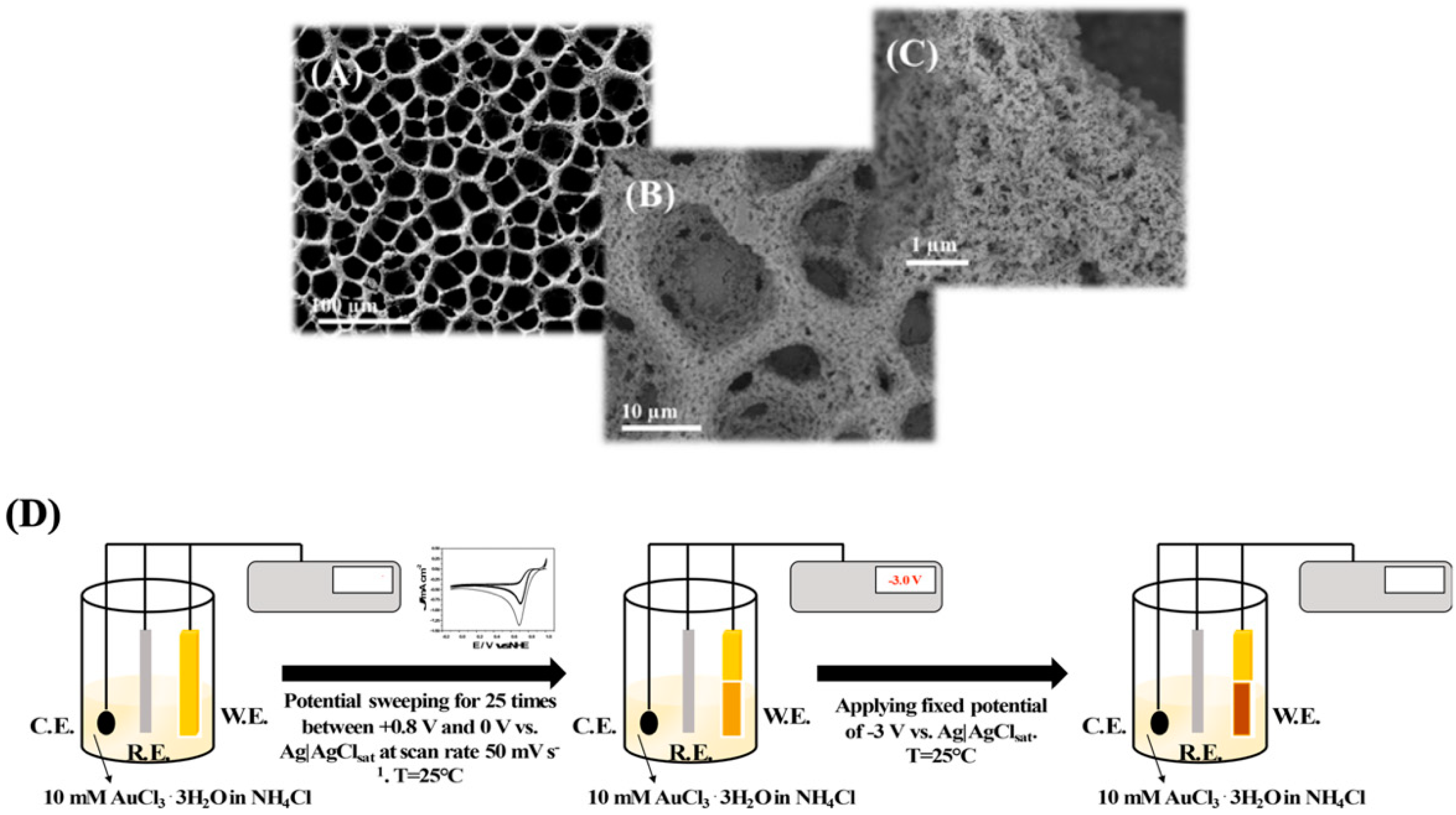 Nanomaterials 10 00722 g003