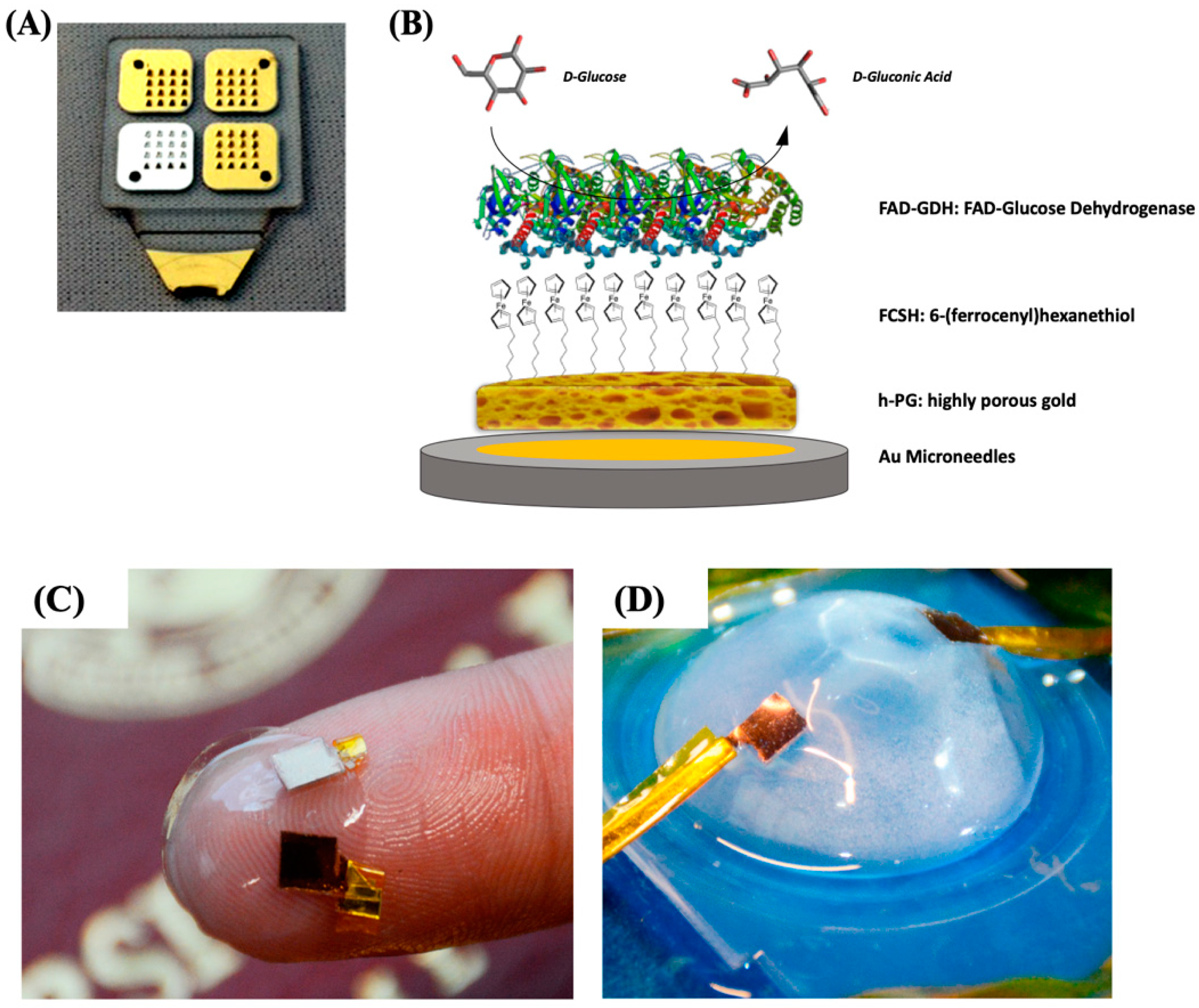 Nanomaterials 10 00722 g006