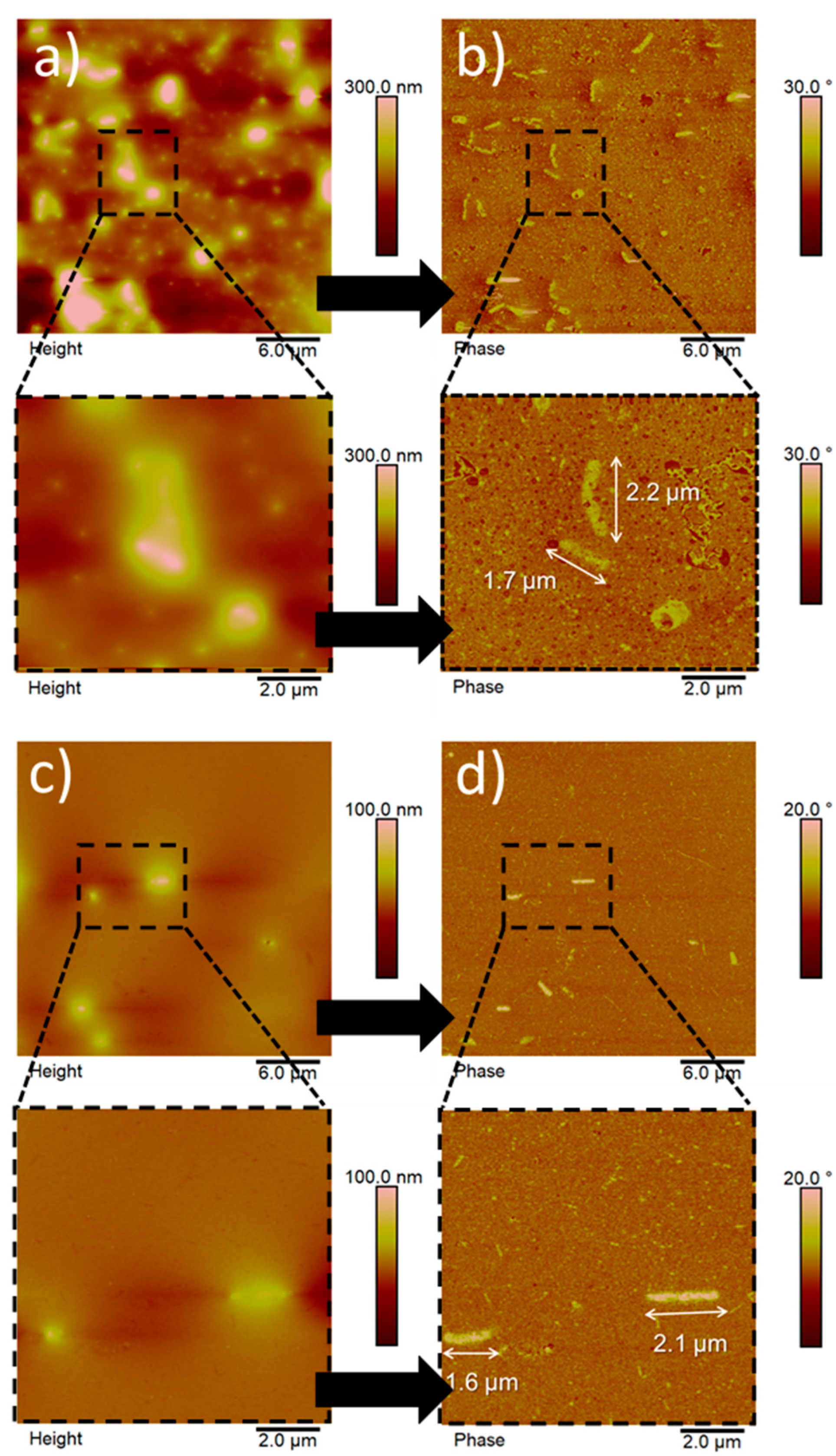 Nanomaterials 10 00735 g002 Nanomaterials 10 00735 g002