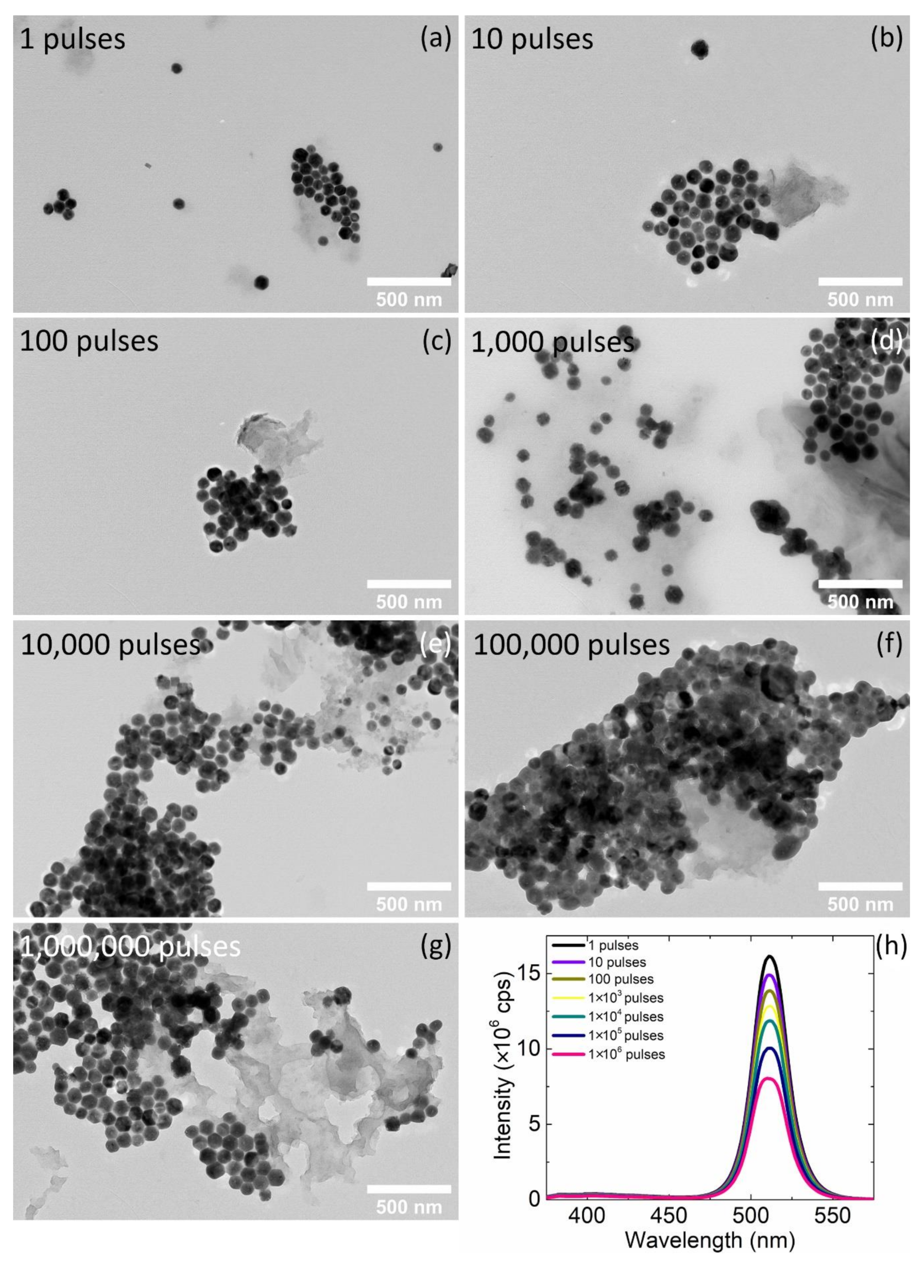 Nanomaterials 10 00747 g004 Nanomaterials 10 00747 g004