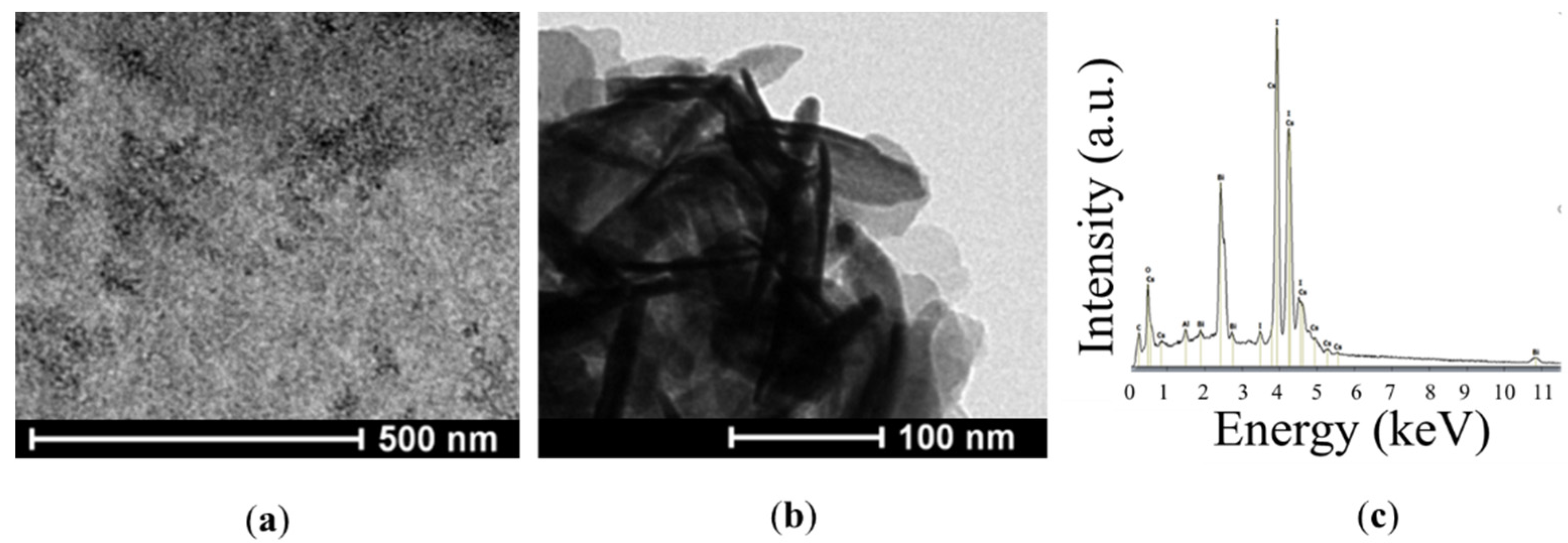 Nanomaterials 10 00763 g003
