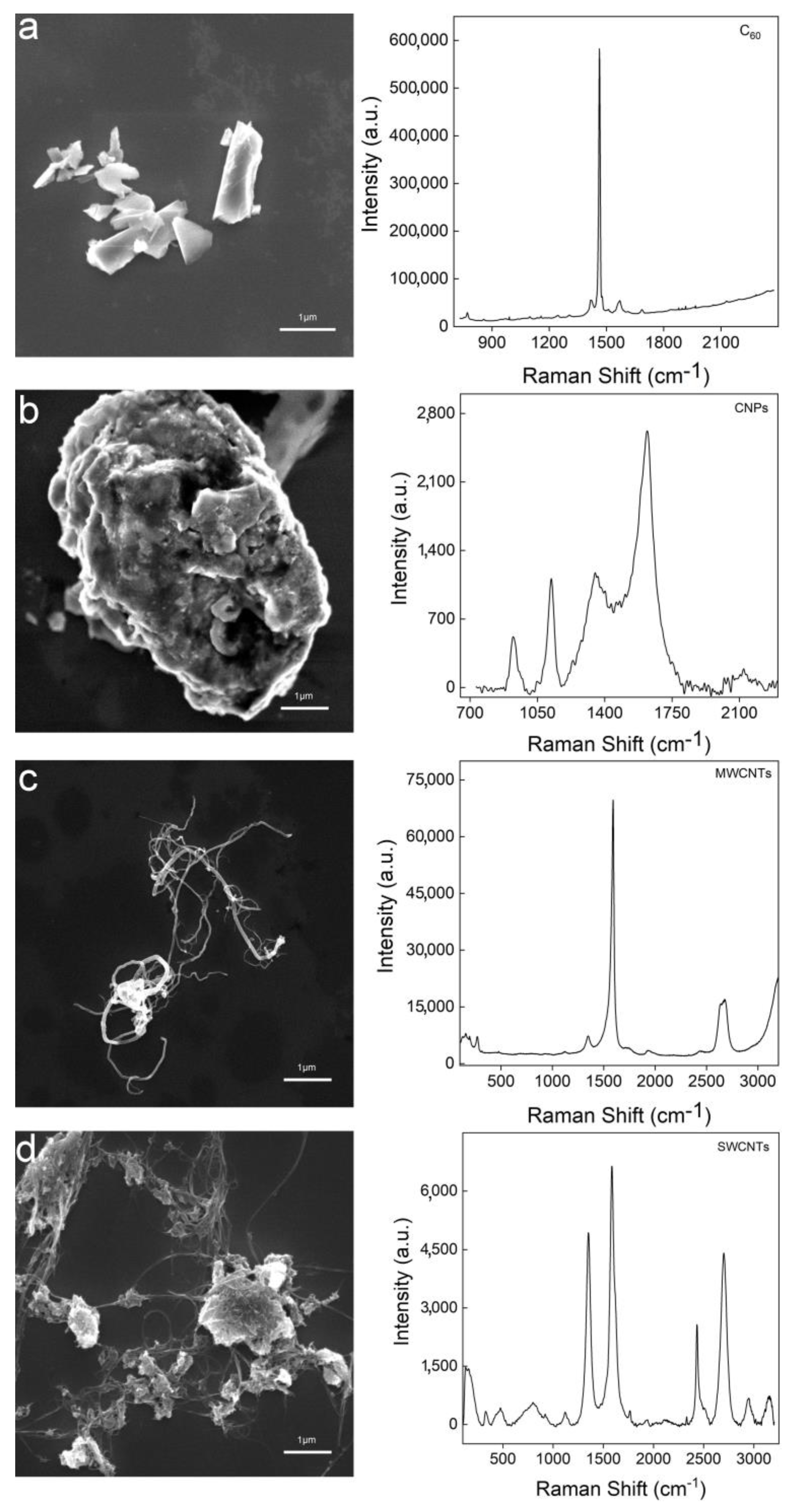 Nanomaterials 10 00770 g004