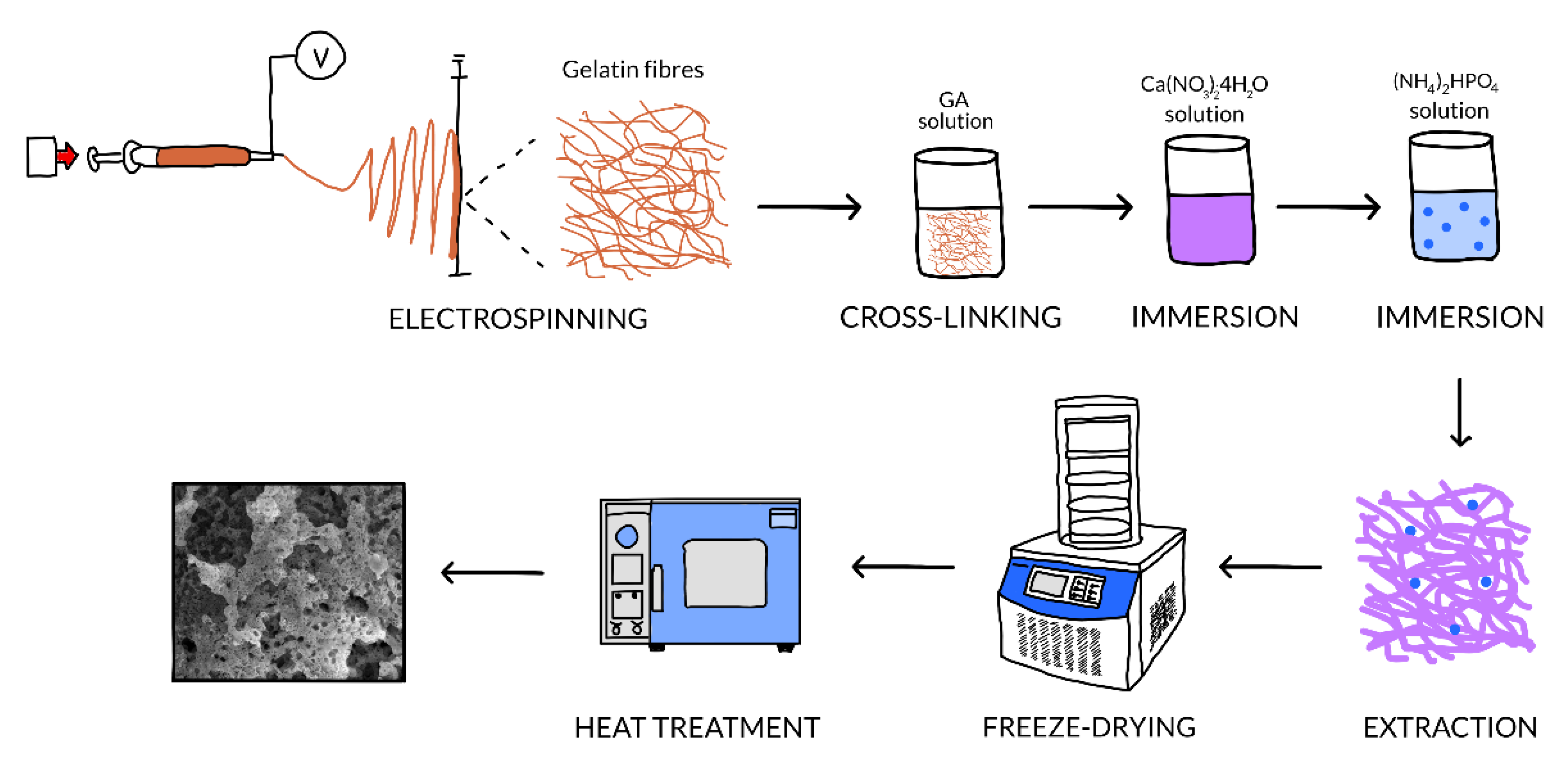 Nanomaterials 10 00772 g001