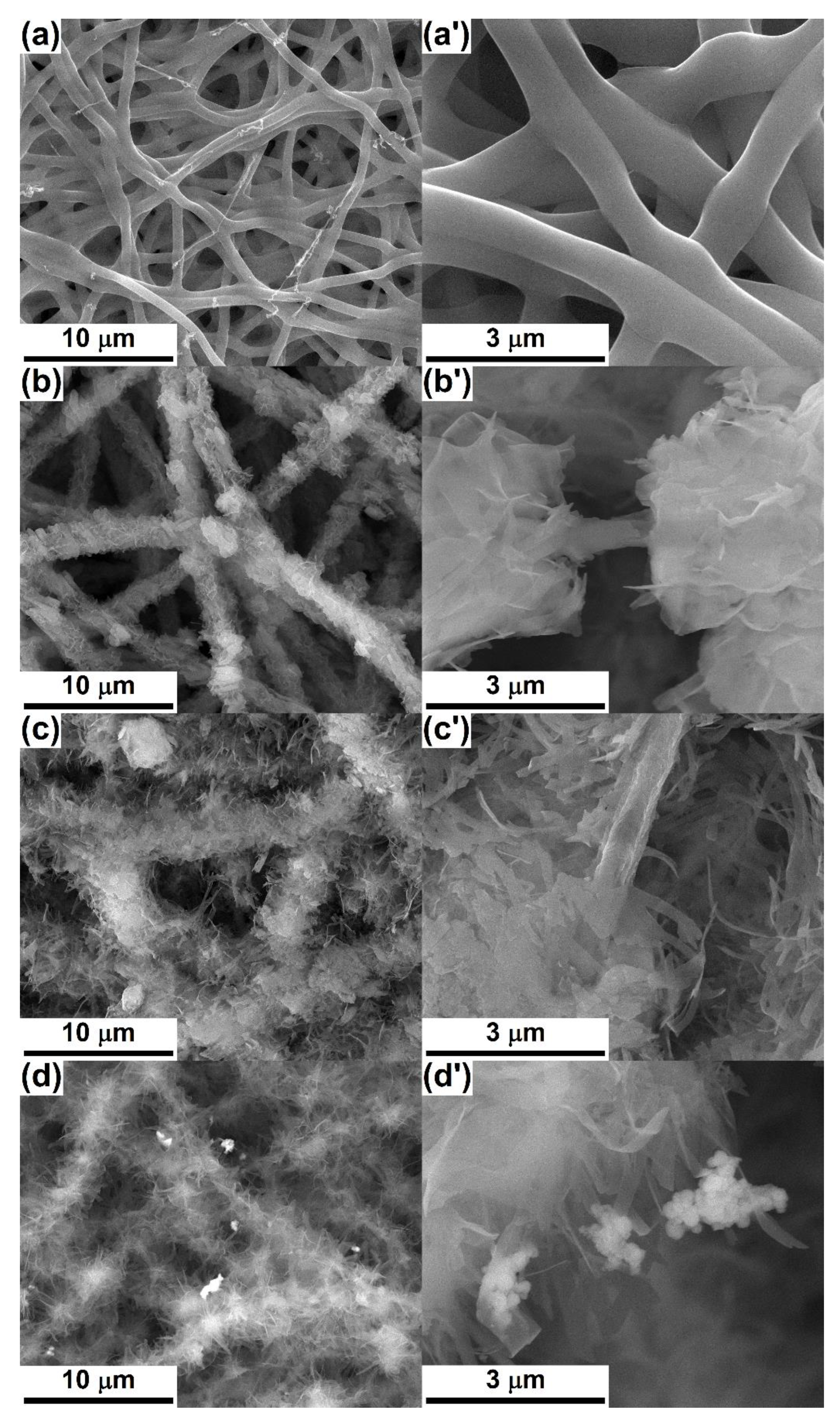 Nanomaterials 10 00772 g005