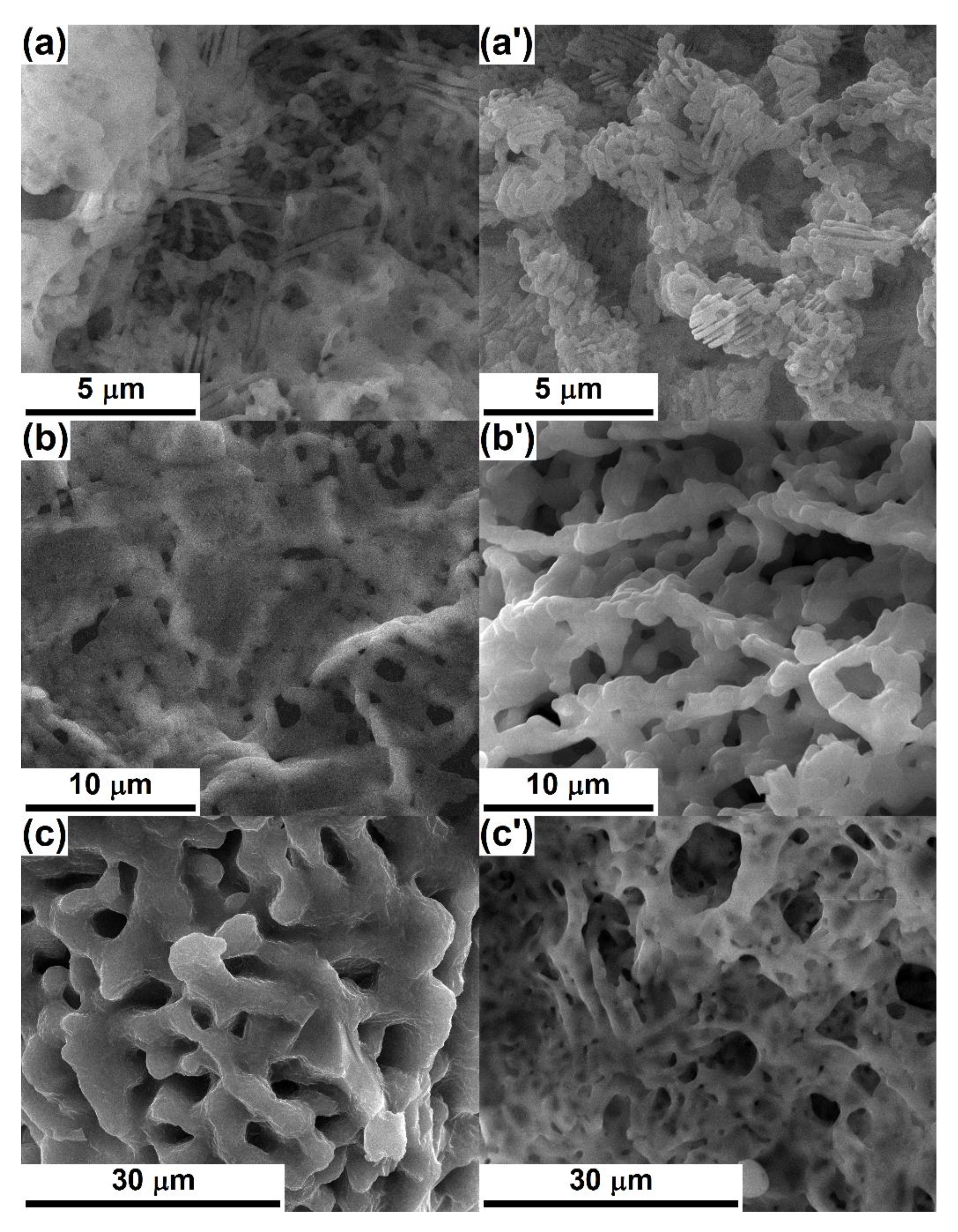 Nanomaterials 10 00772 g006