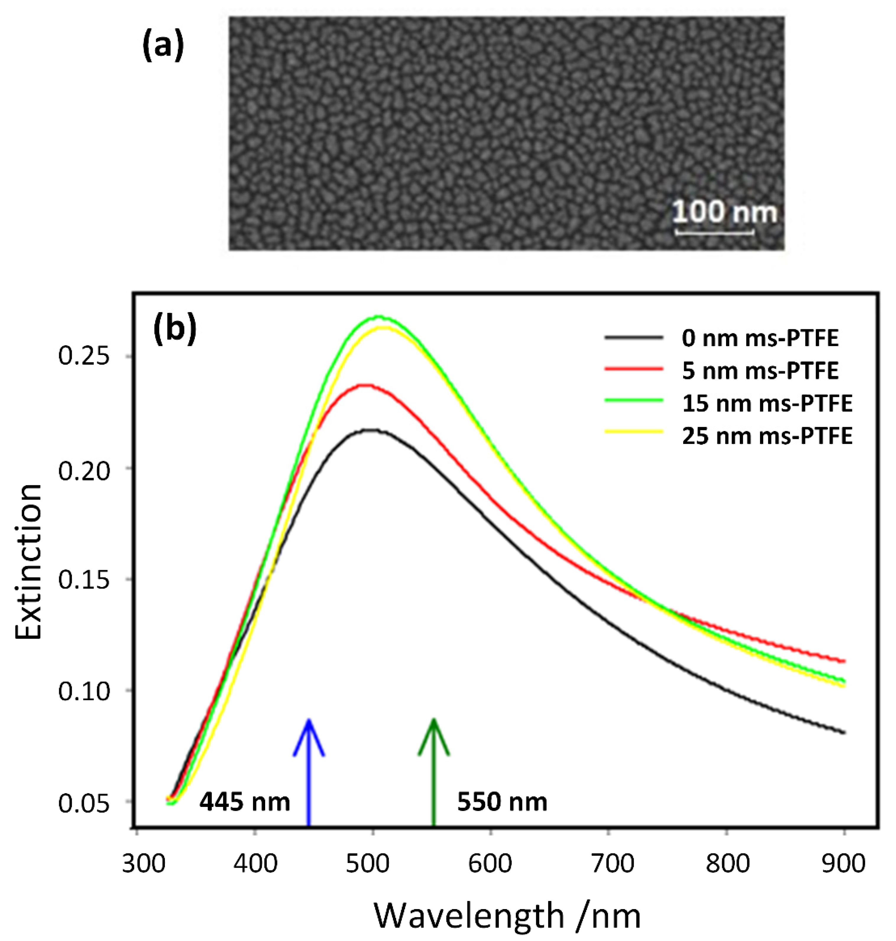 Nanomaterials 10 00773 g003