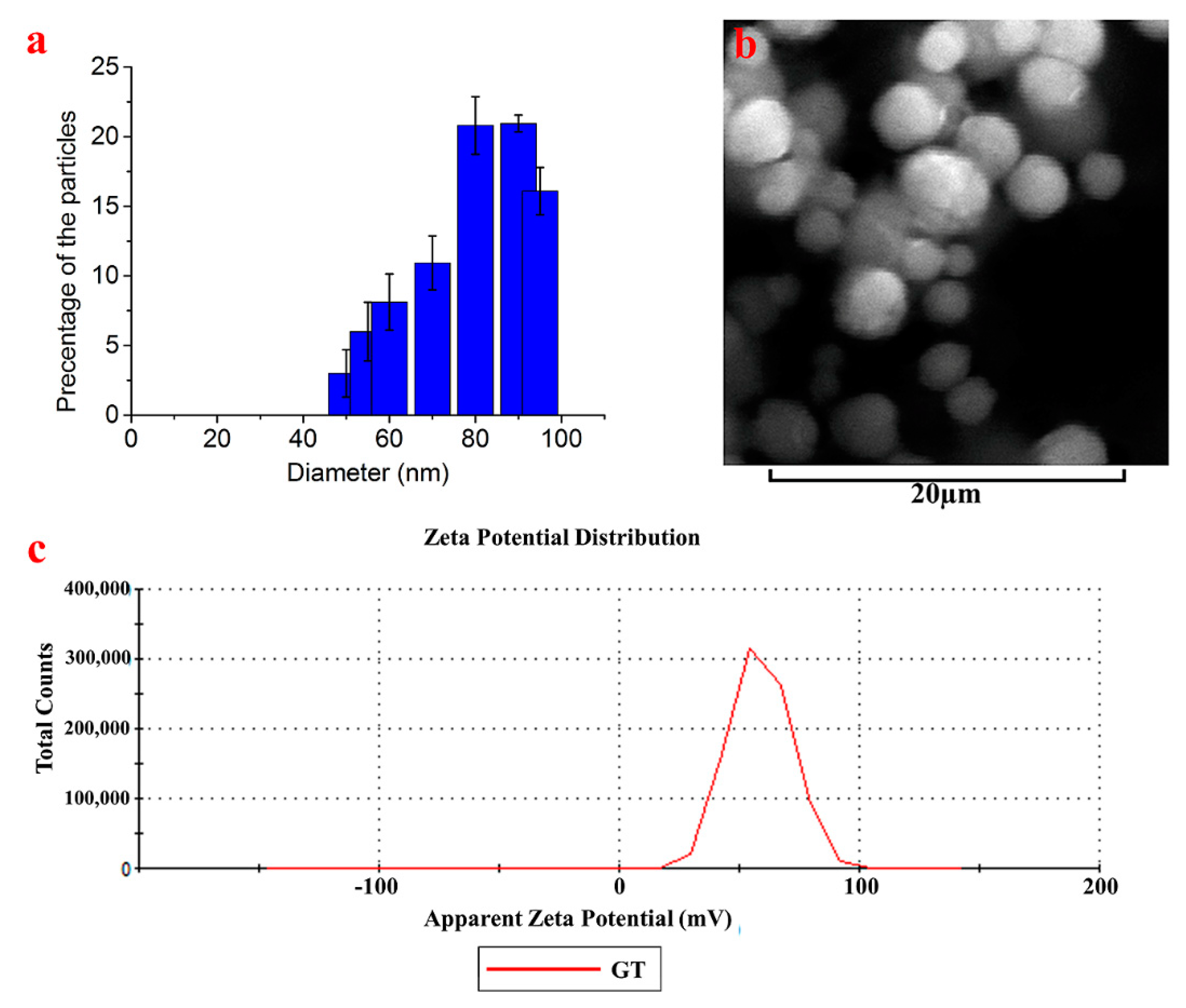 Nanomaterials 10 00778 g002