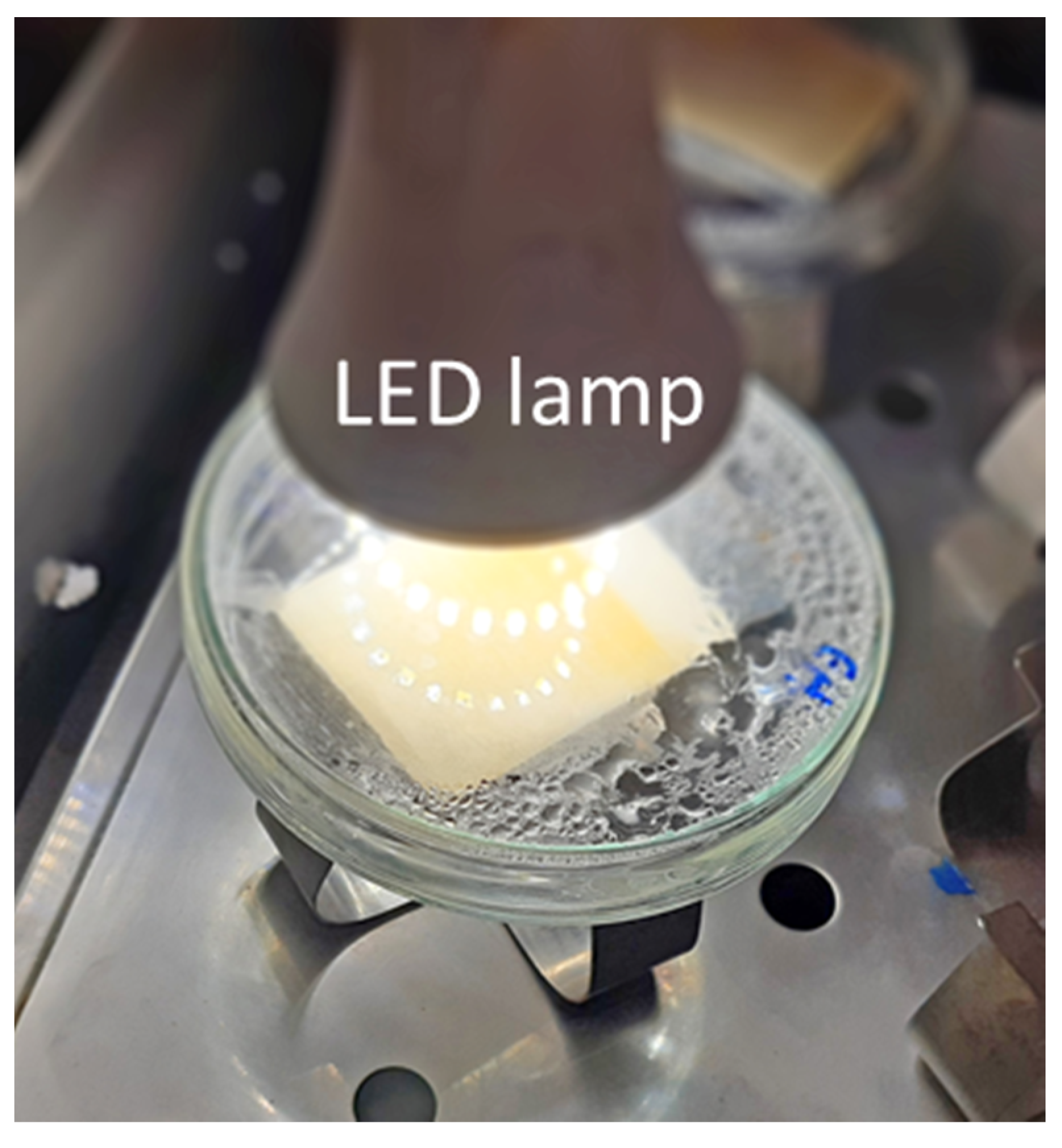 Nanomaterials 10 00779 g001