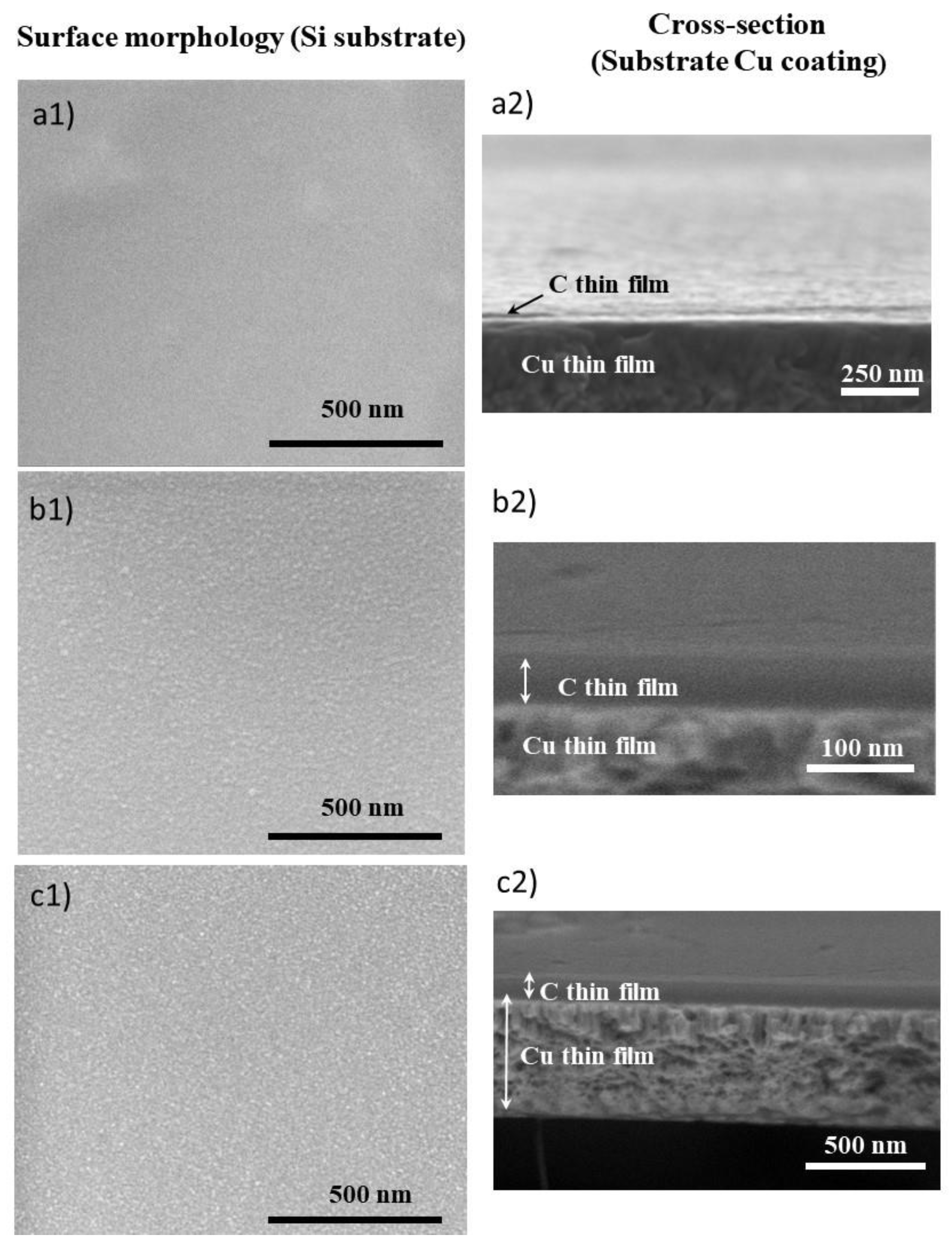 Nanomaterials 10 00780 g001