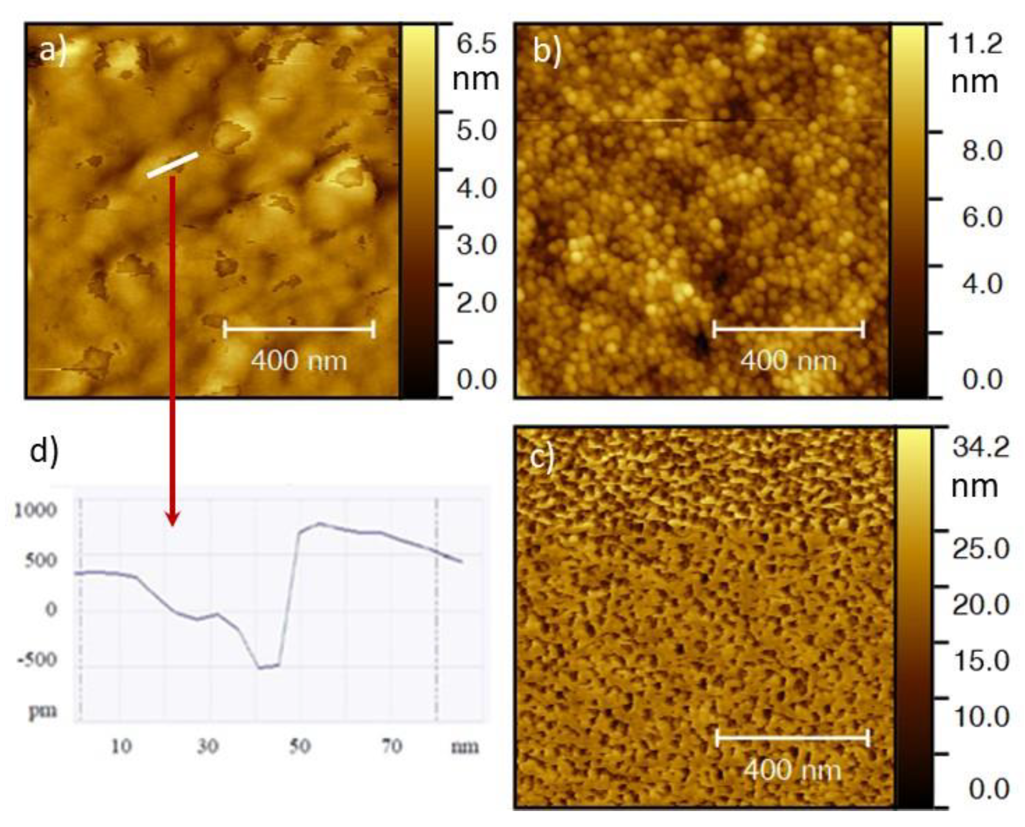 Nanomaterials 10 00780 g002
