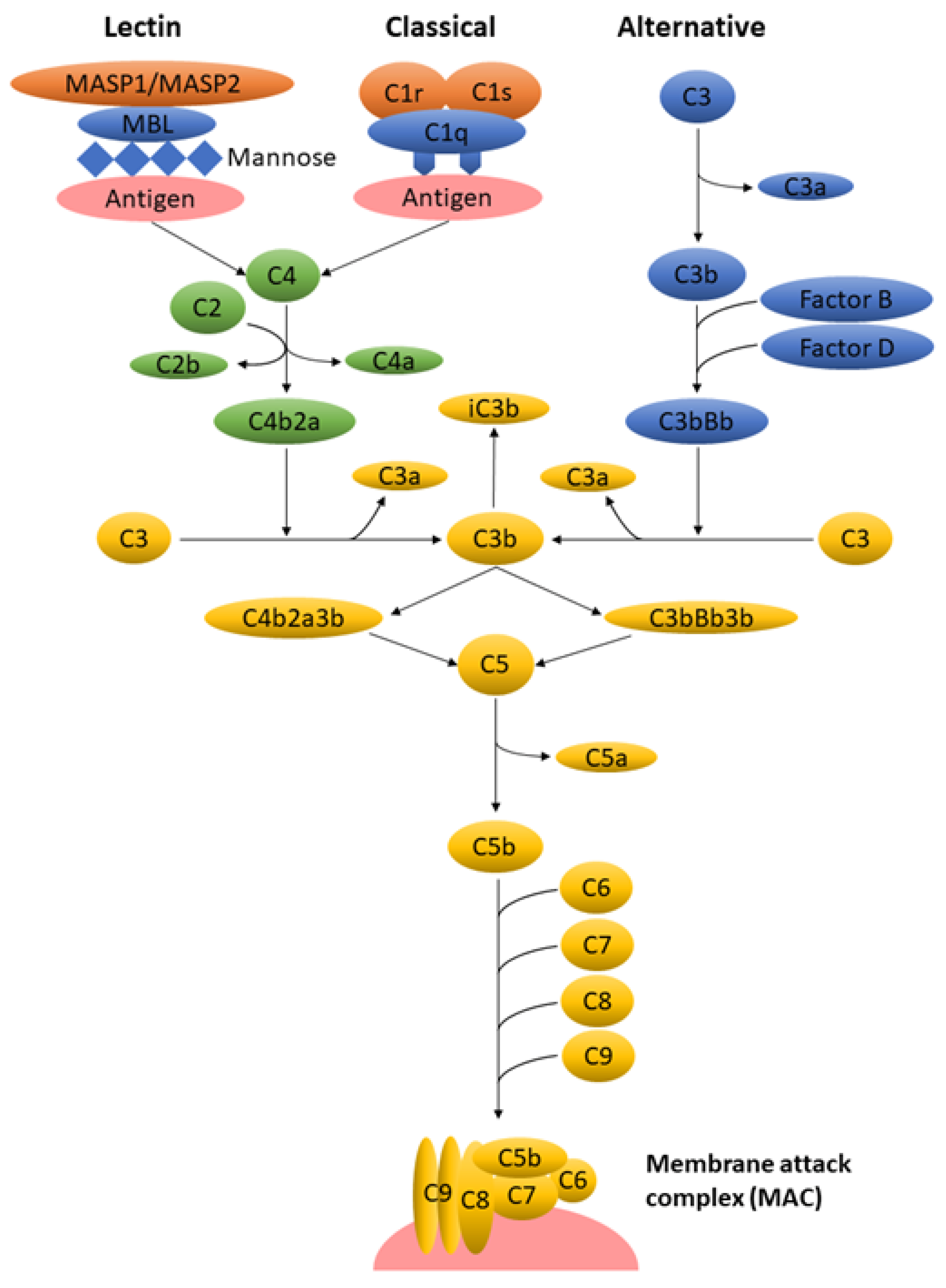 Nanomaterials 10 00787 g001