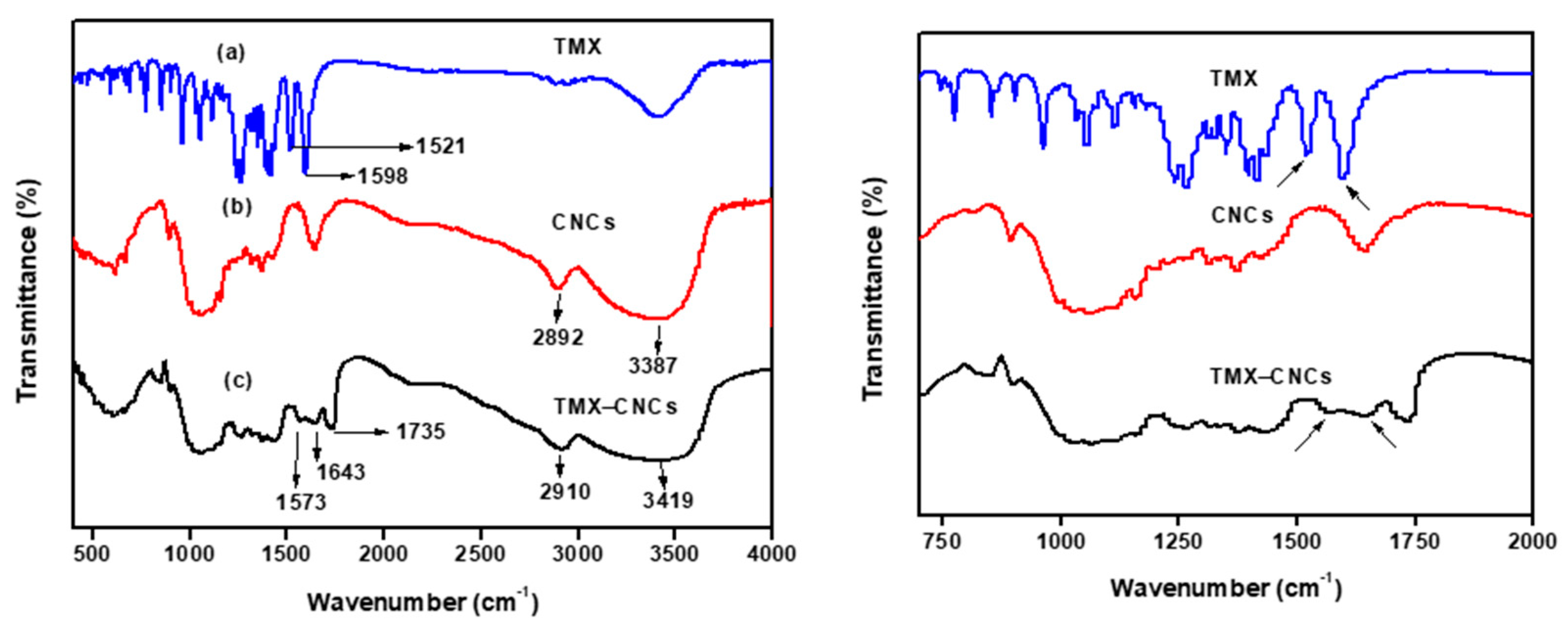 Nanomaterials 10 00788 g003