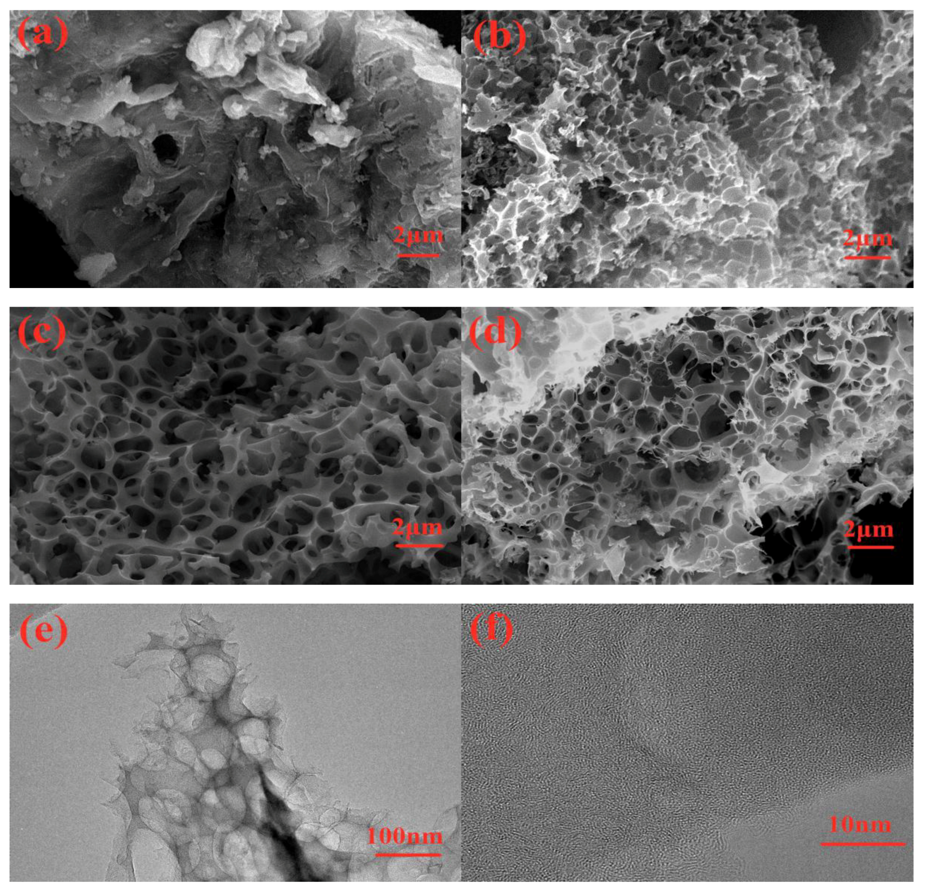 Nanomaterials 10 00808 g004